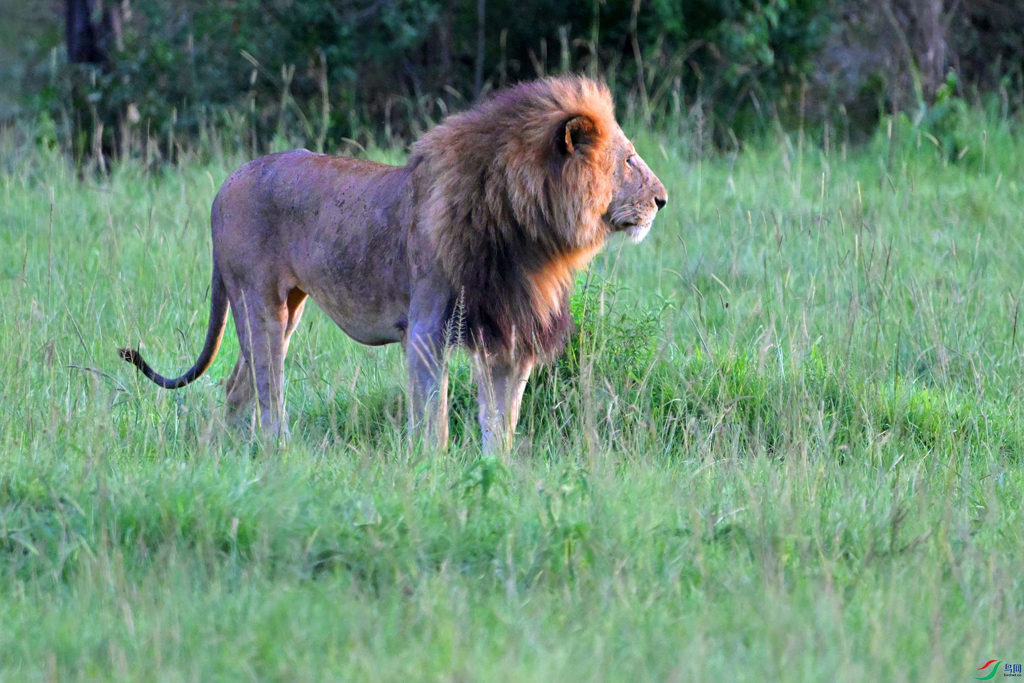 DSC_3763_.jpg