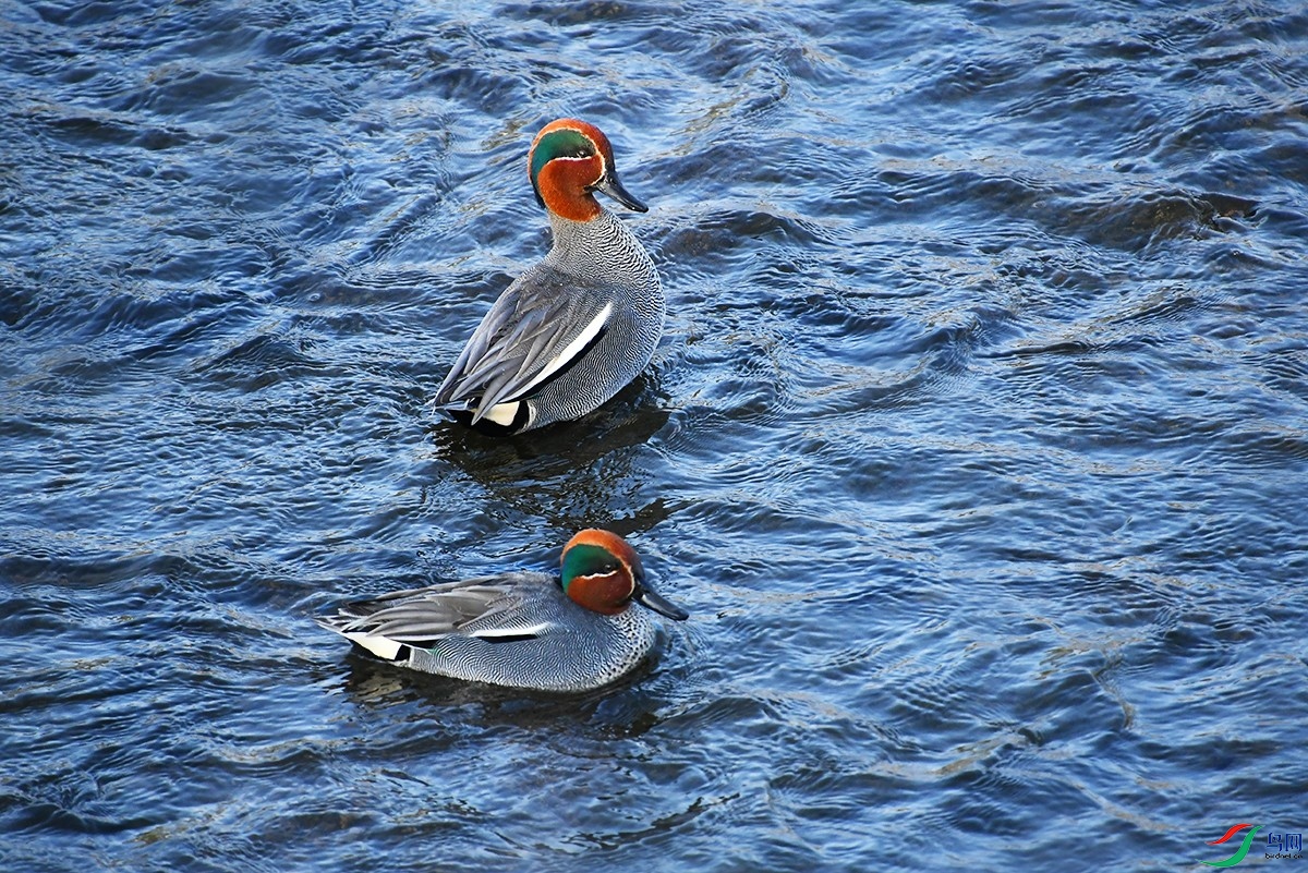 DSC_1332_.jpg