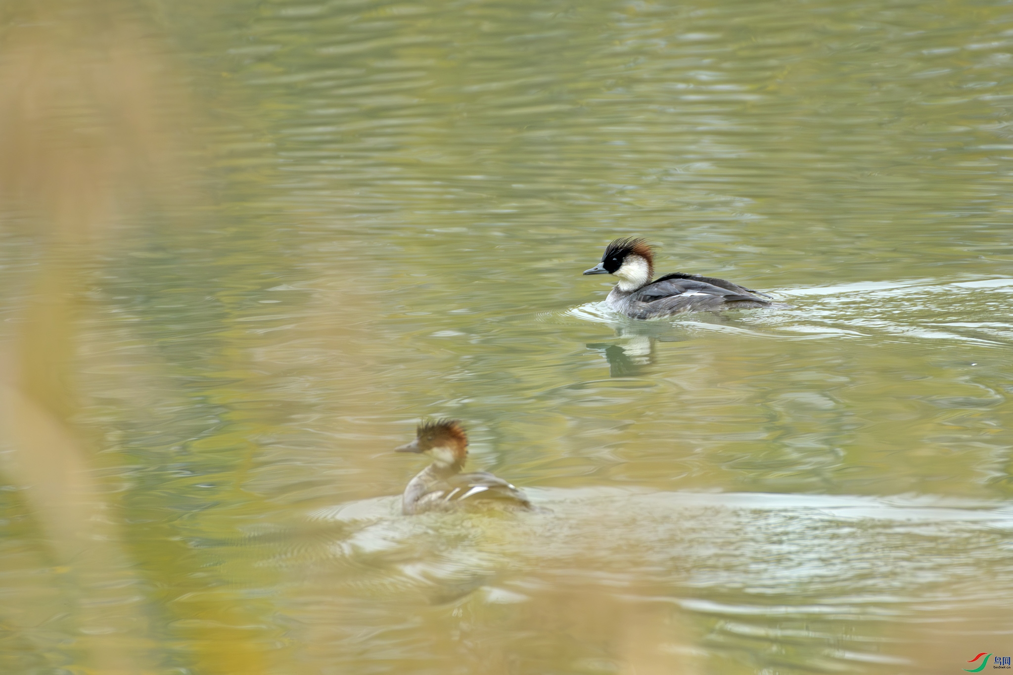DSC_1670 0.jpg