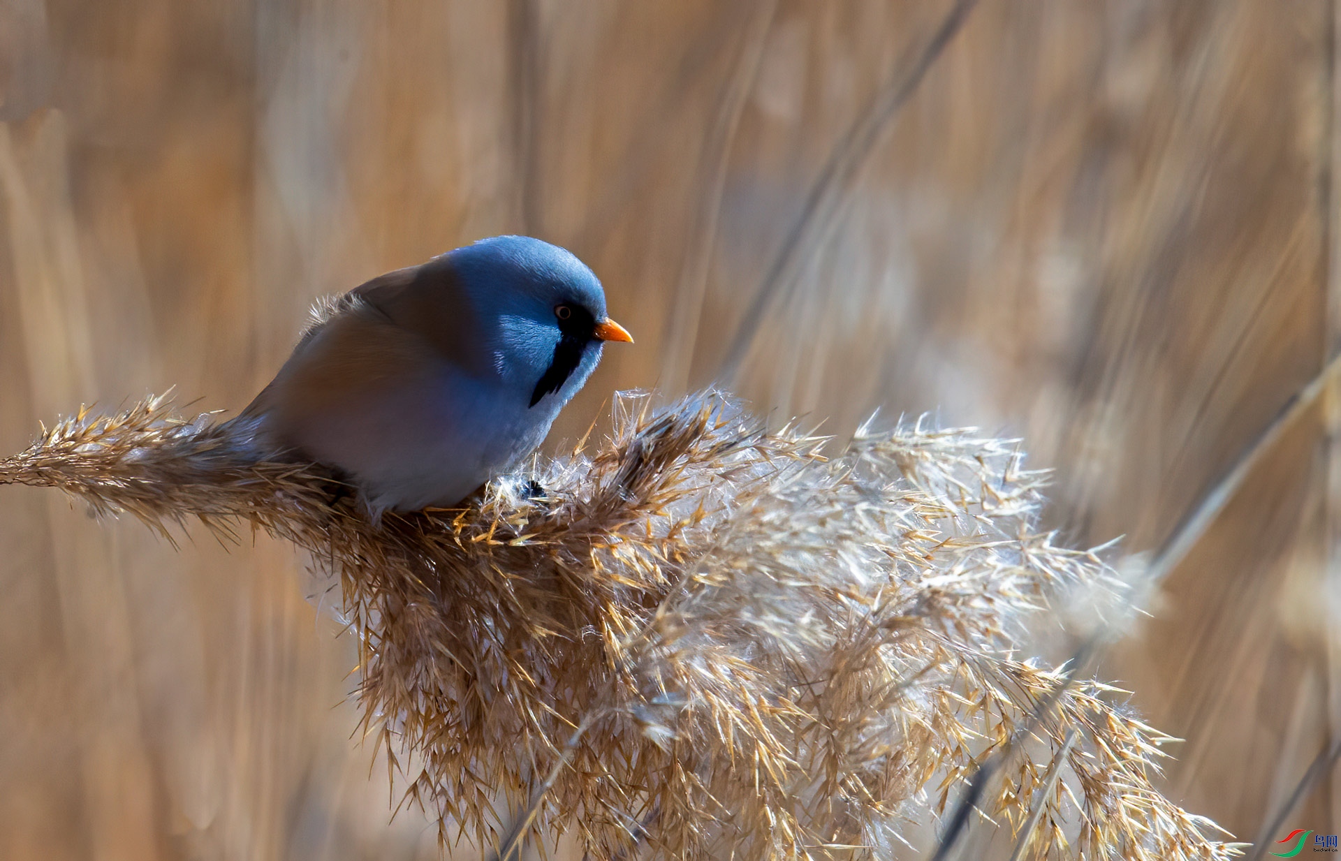 DSC_5357.jpg