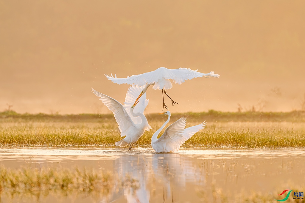 hnxyR5241121  (2139)_DxO.jpg