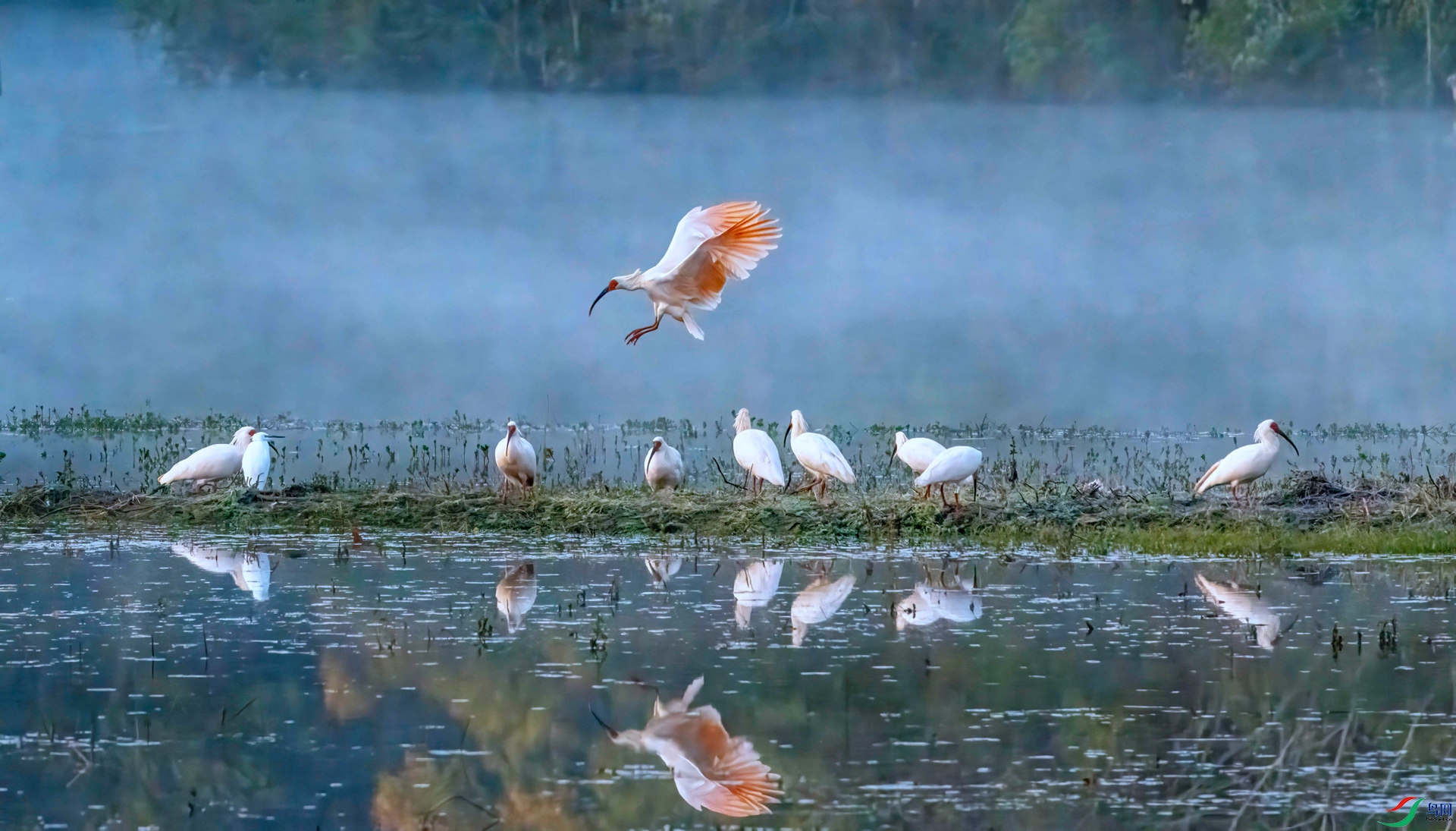 DSC_9118 ����.jpg