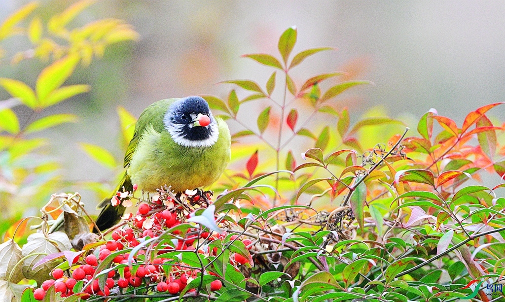DSC_2875.JPG