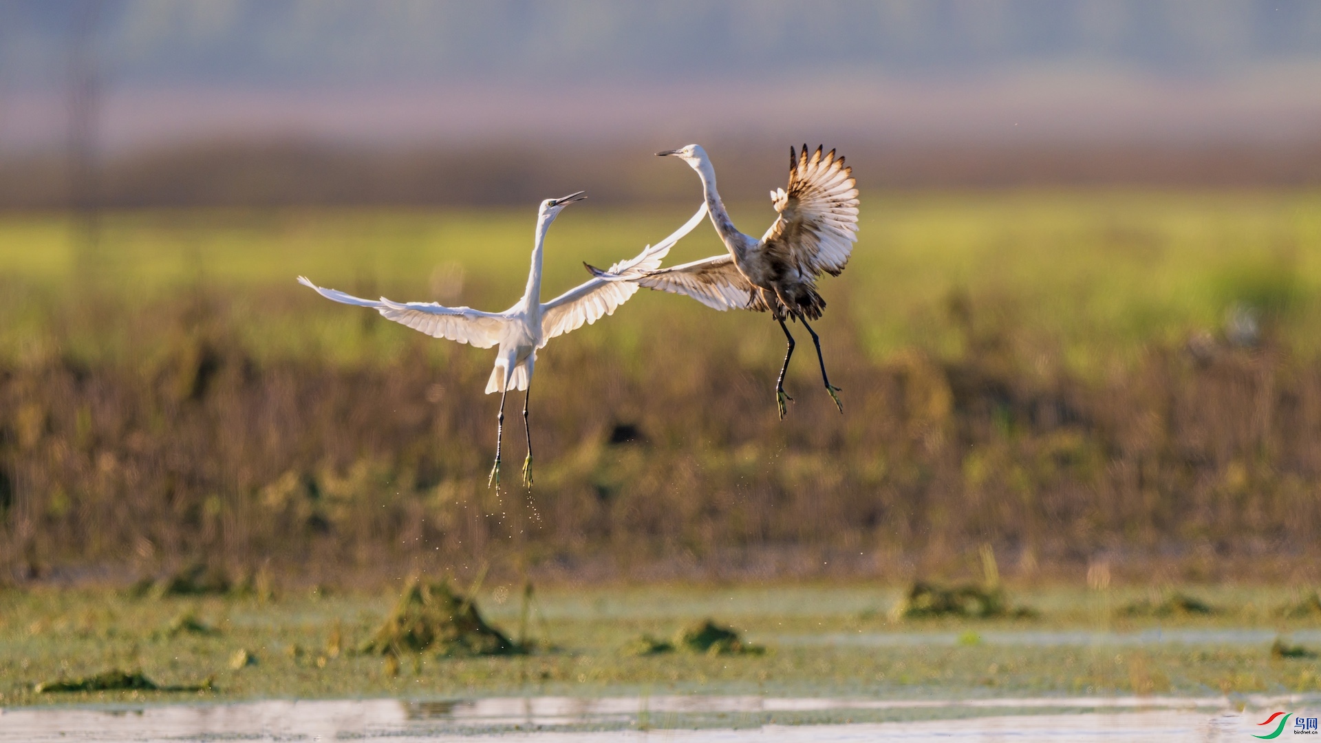 1DSC_1218 ����.jpeg