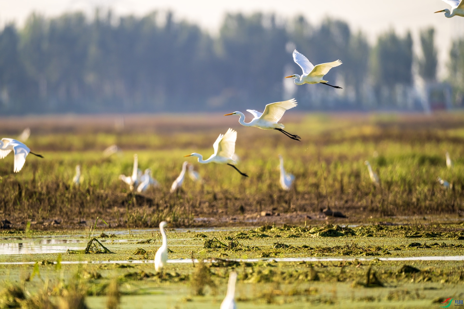 1DSC_1460 1����.jpeg