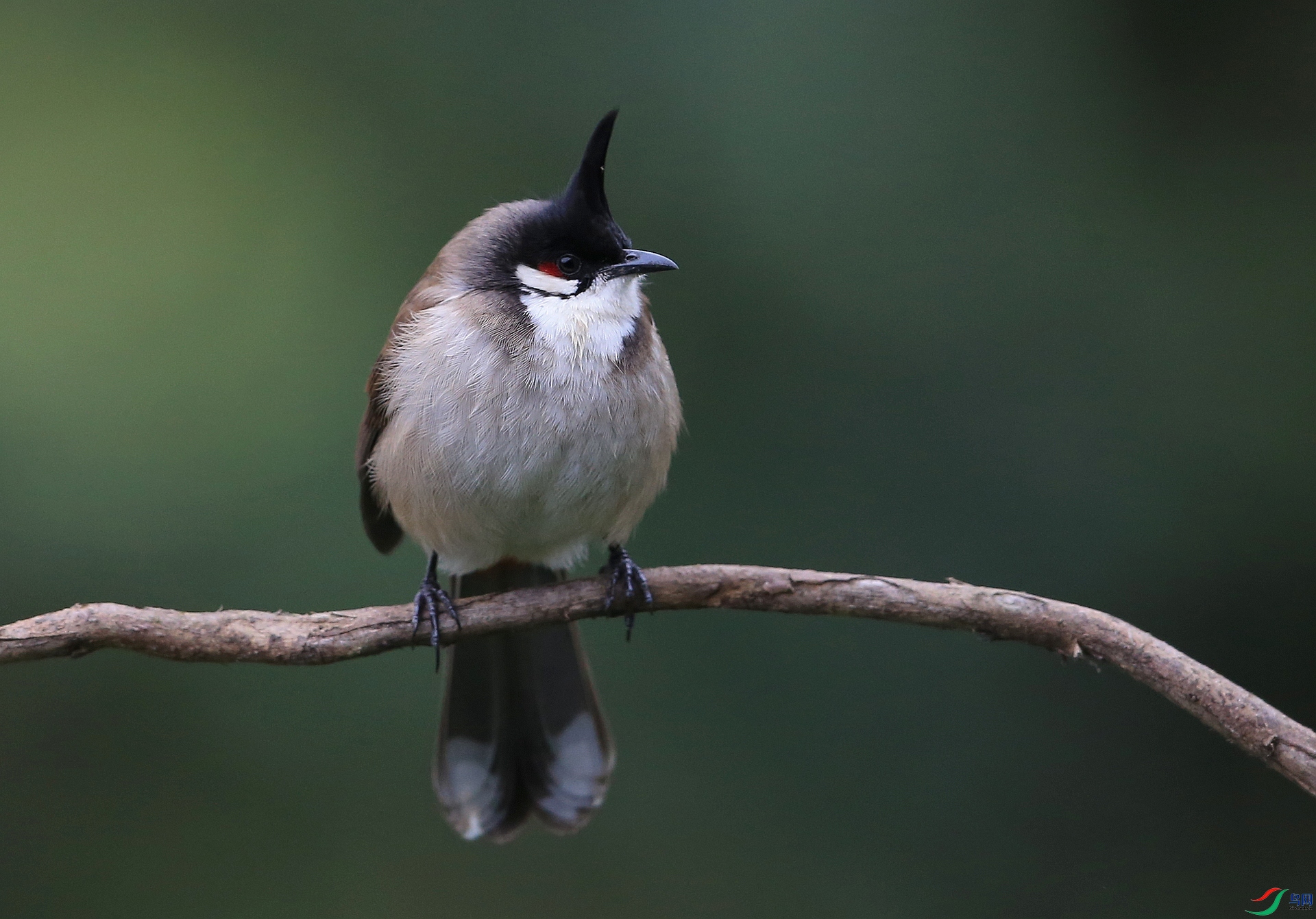 ���� IMGL2605.JPG