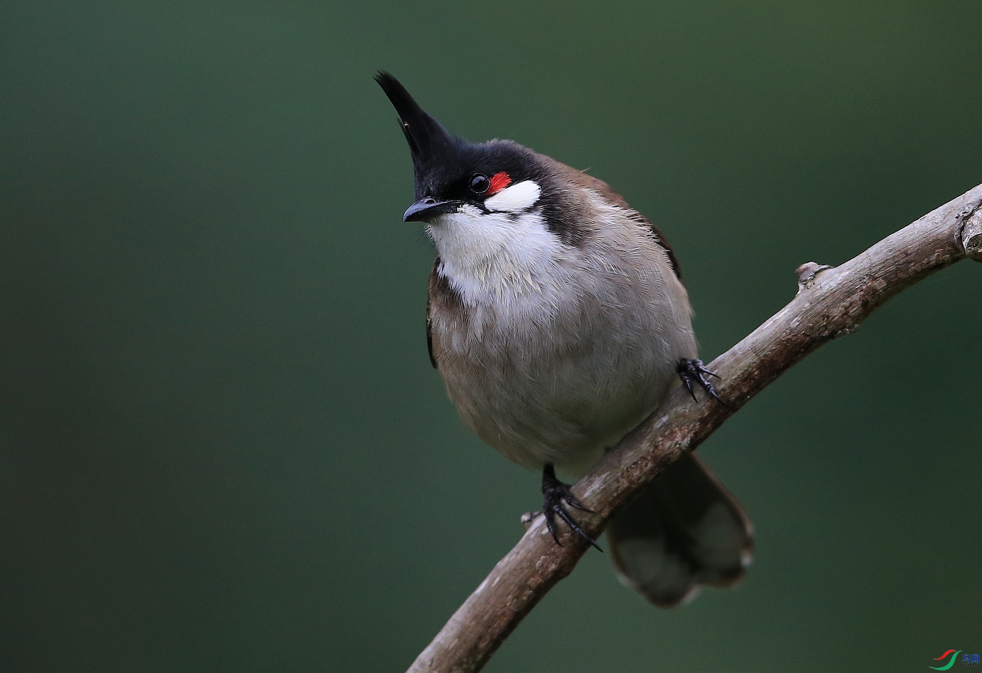 ���� IMGL2609.JPG