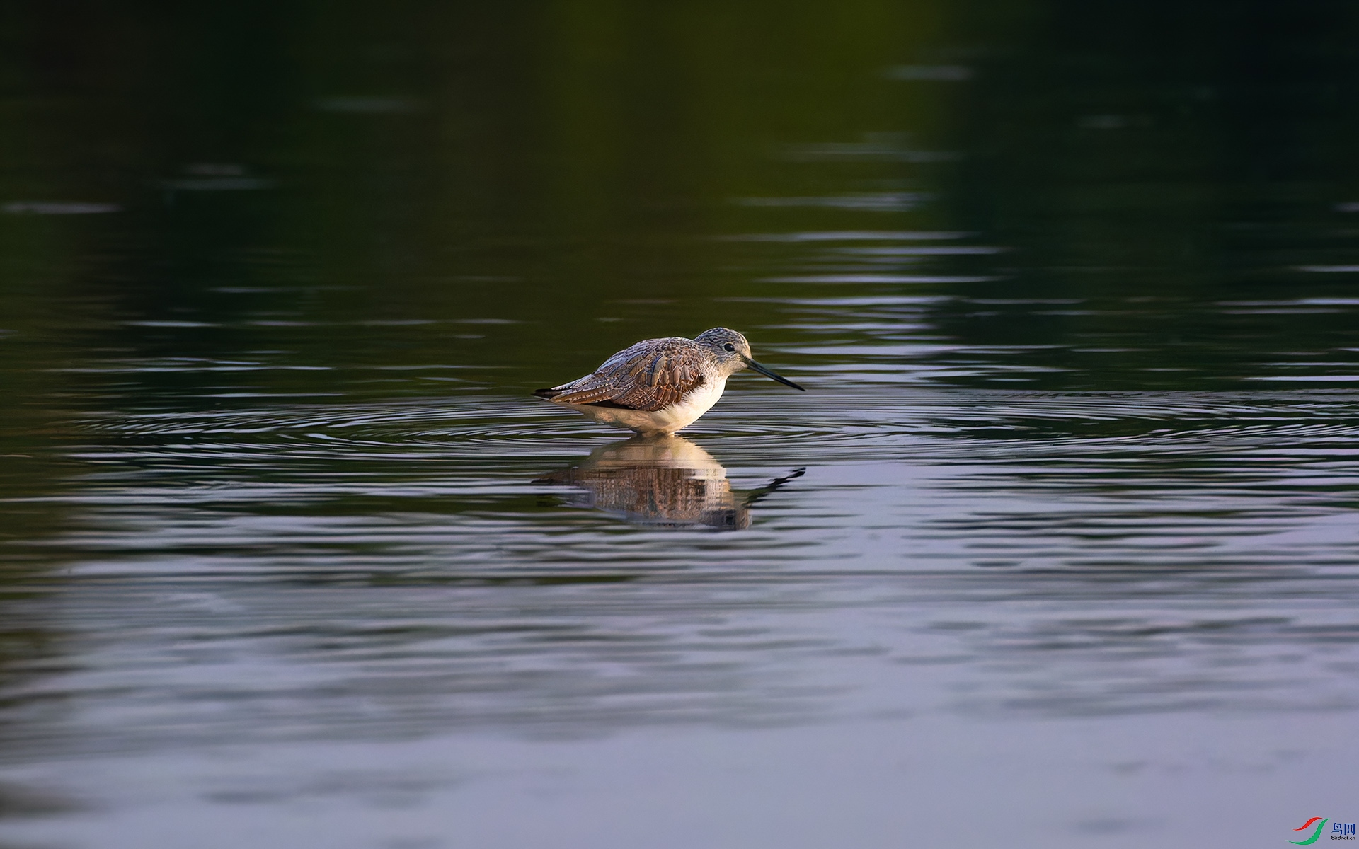 DSC_9257.jpg