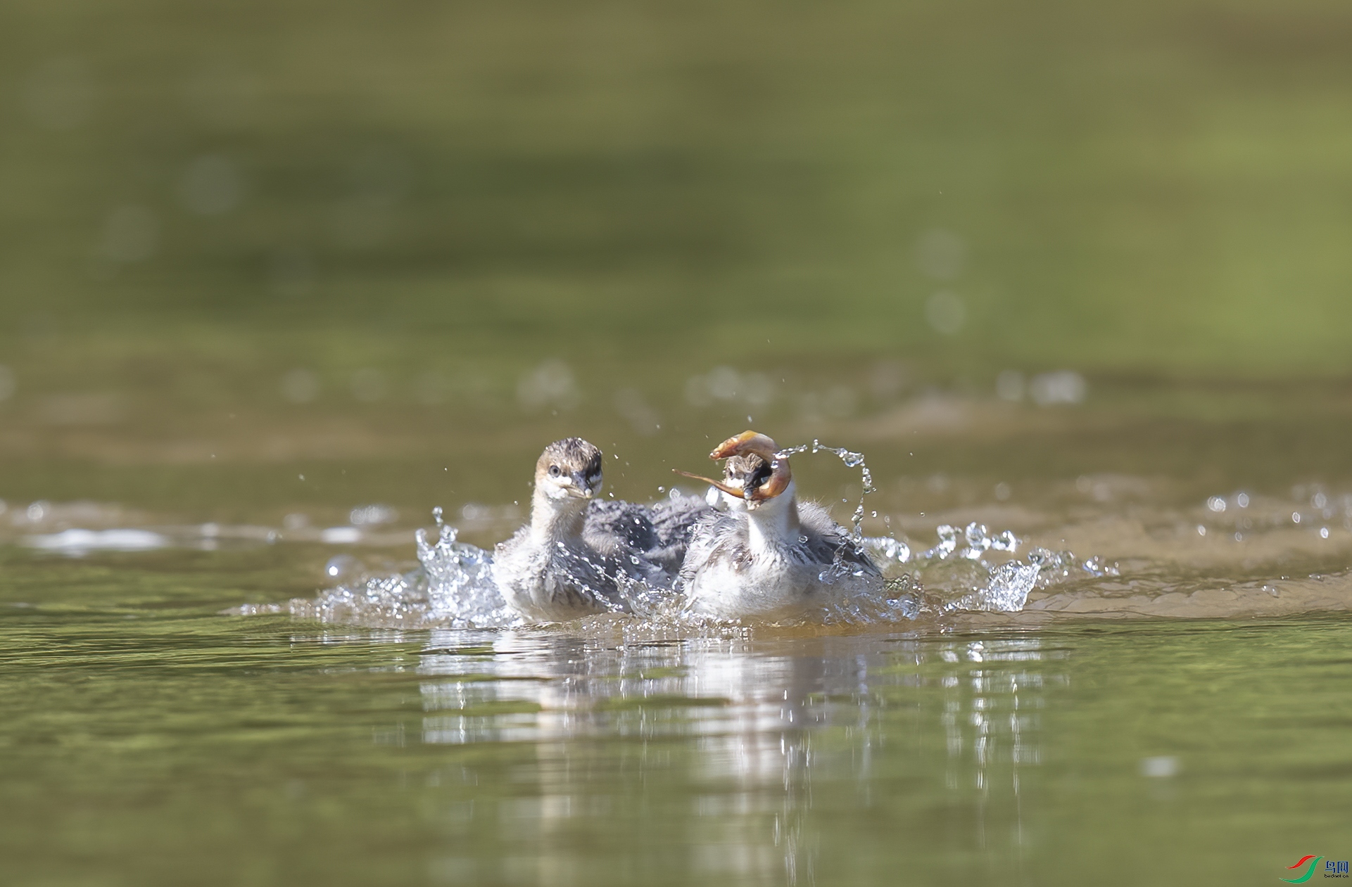 AC3I3925 ����.jpg