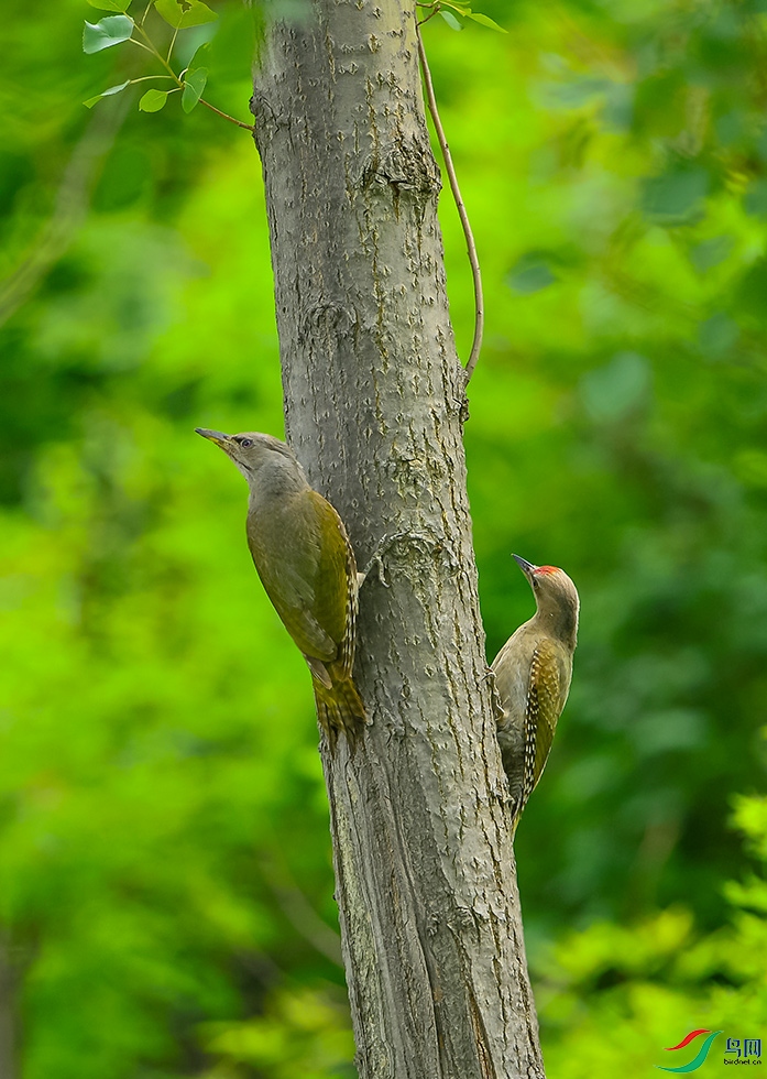 DSC_6056.jpg