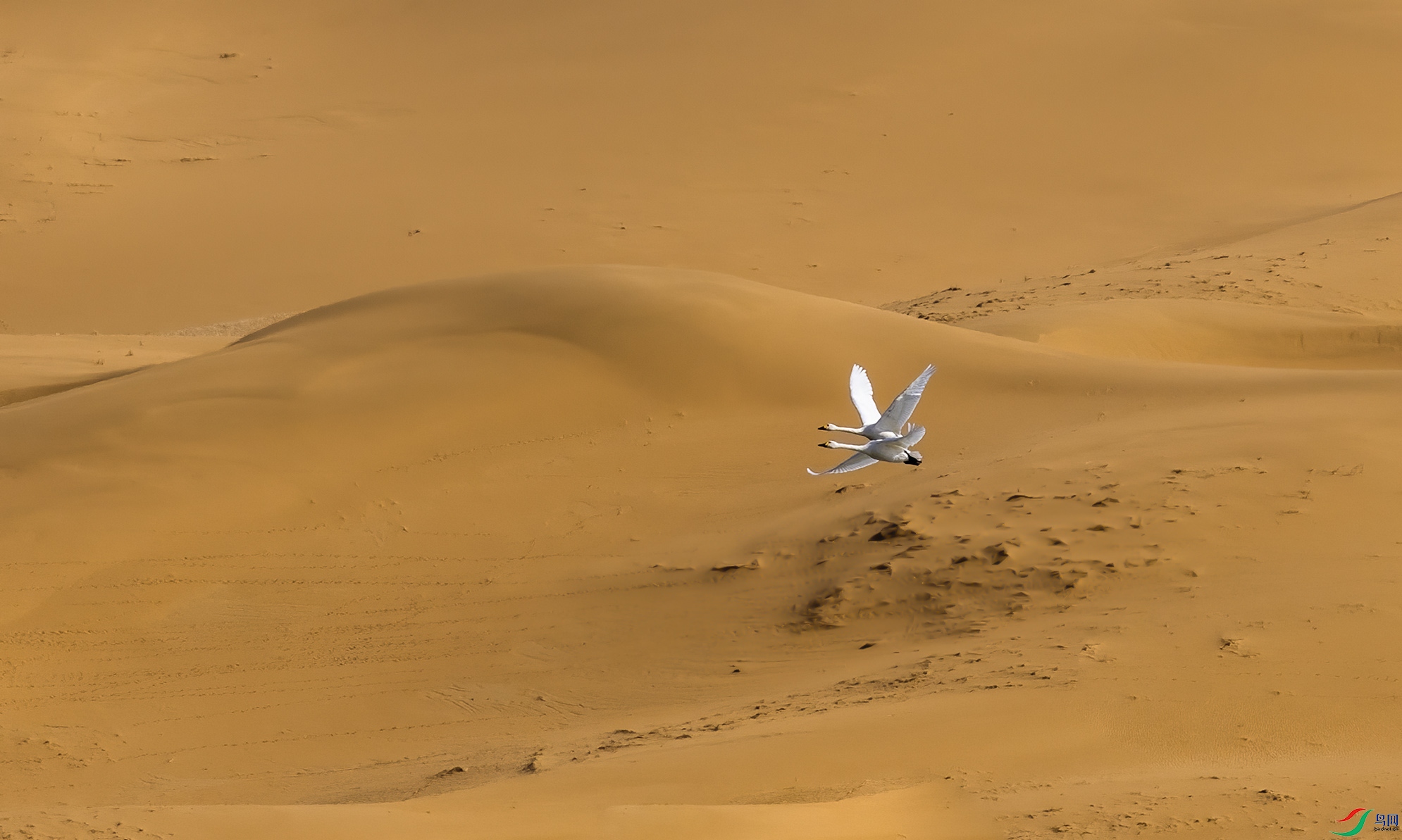 _L3A5839.jpg