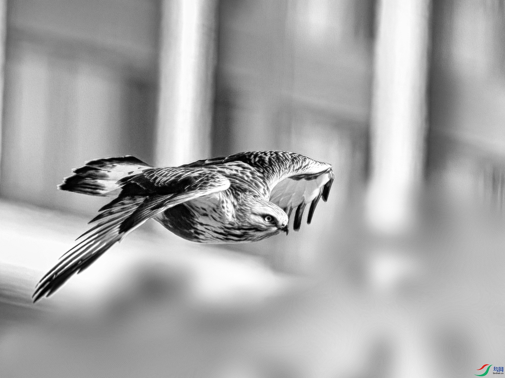 DSC07755 ����.jpg