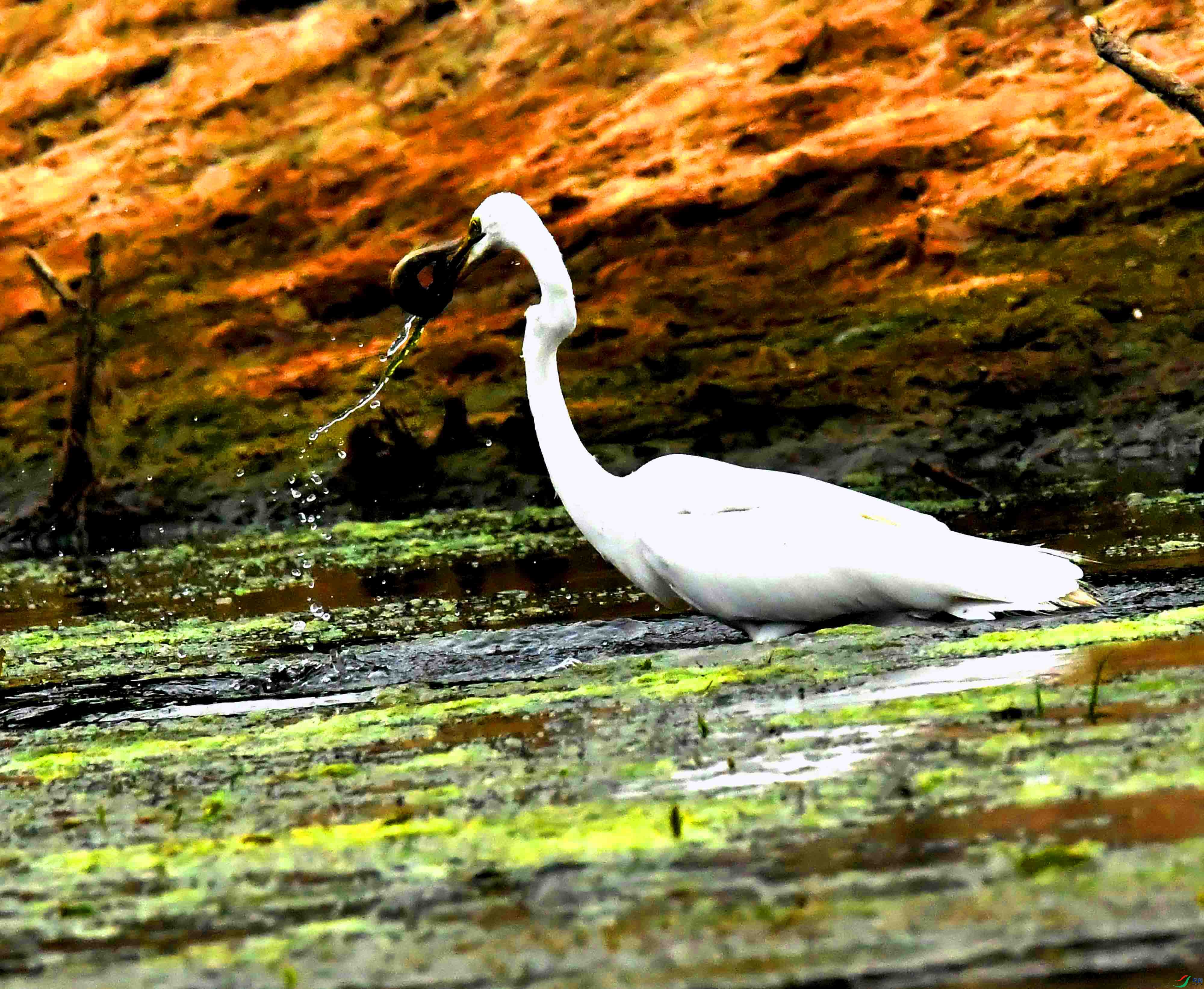 DSC_9614.JPG