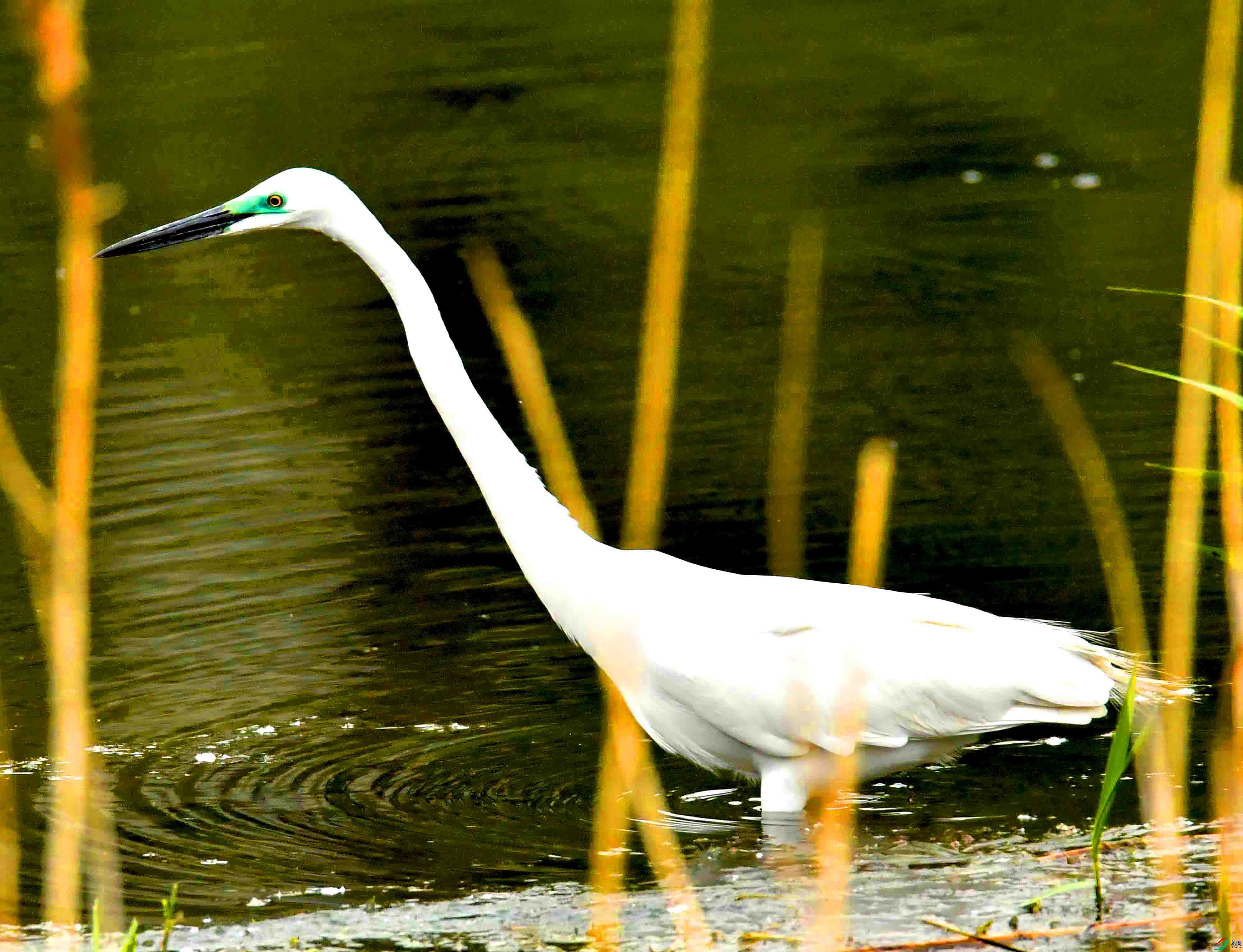 DSC_9674.JPG