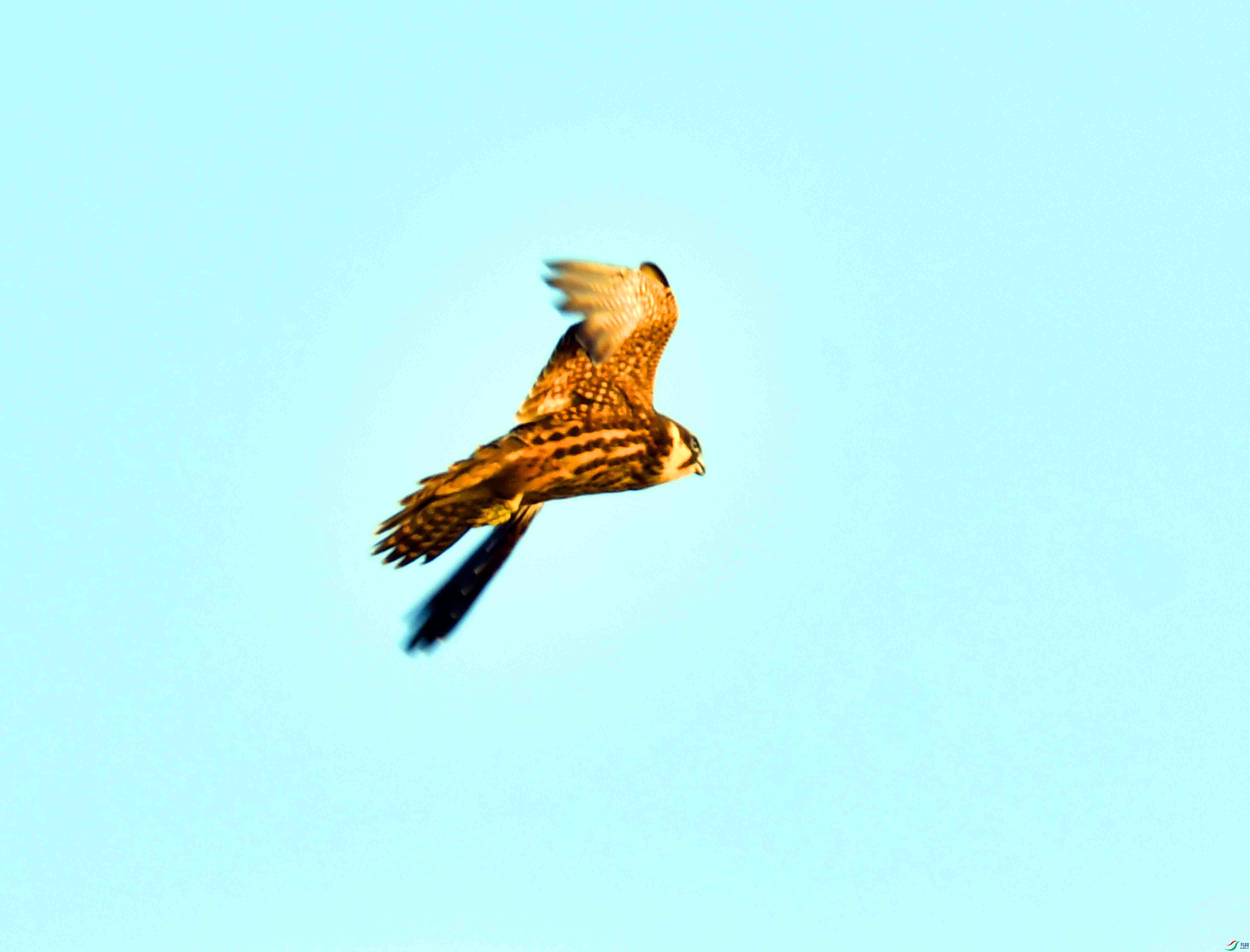 DSC_0147.JPG