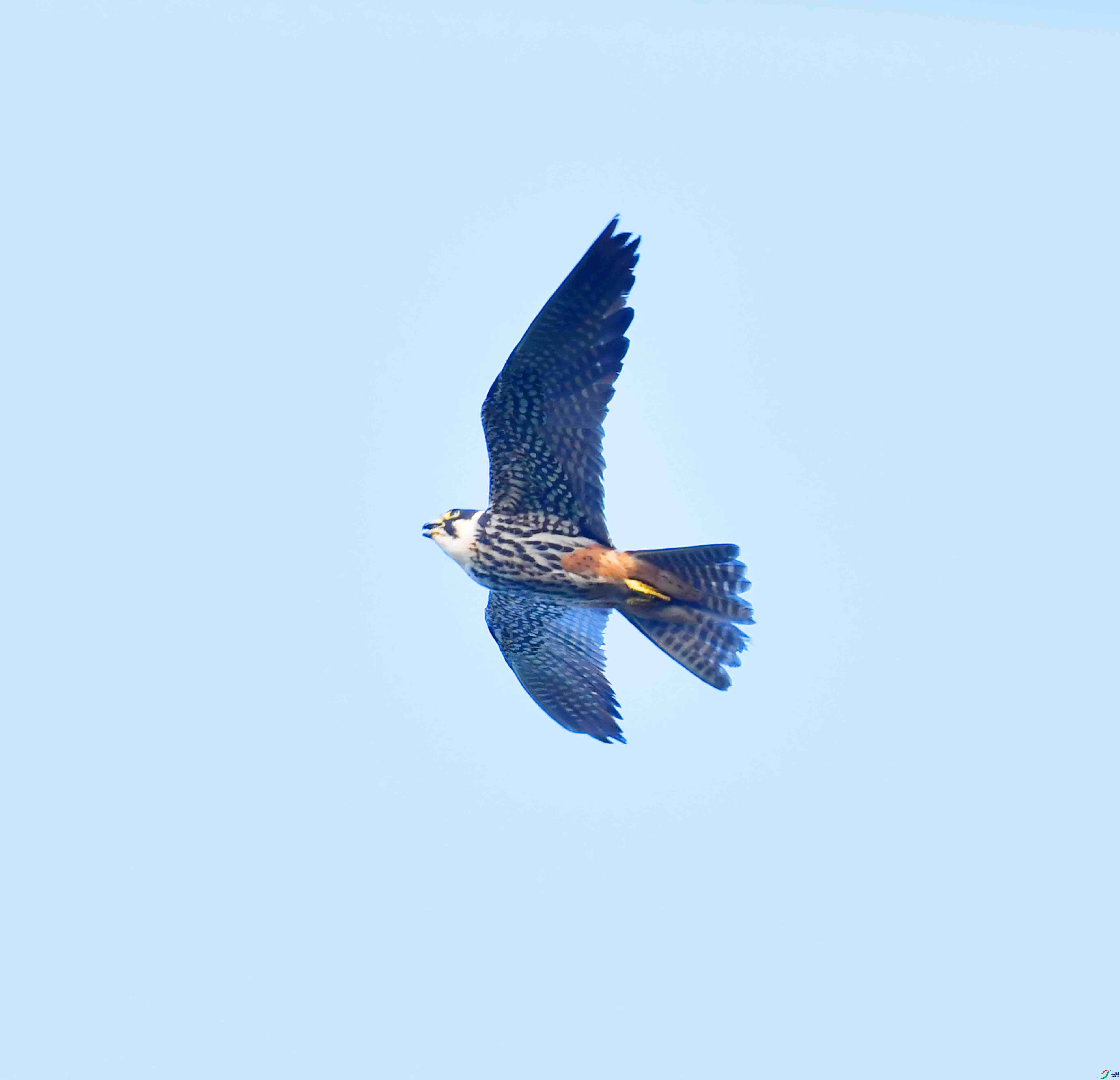DSC_0155.JPG