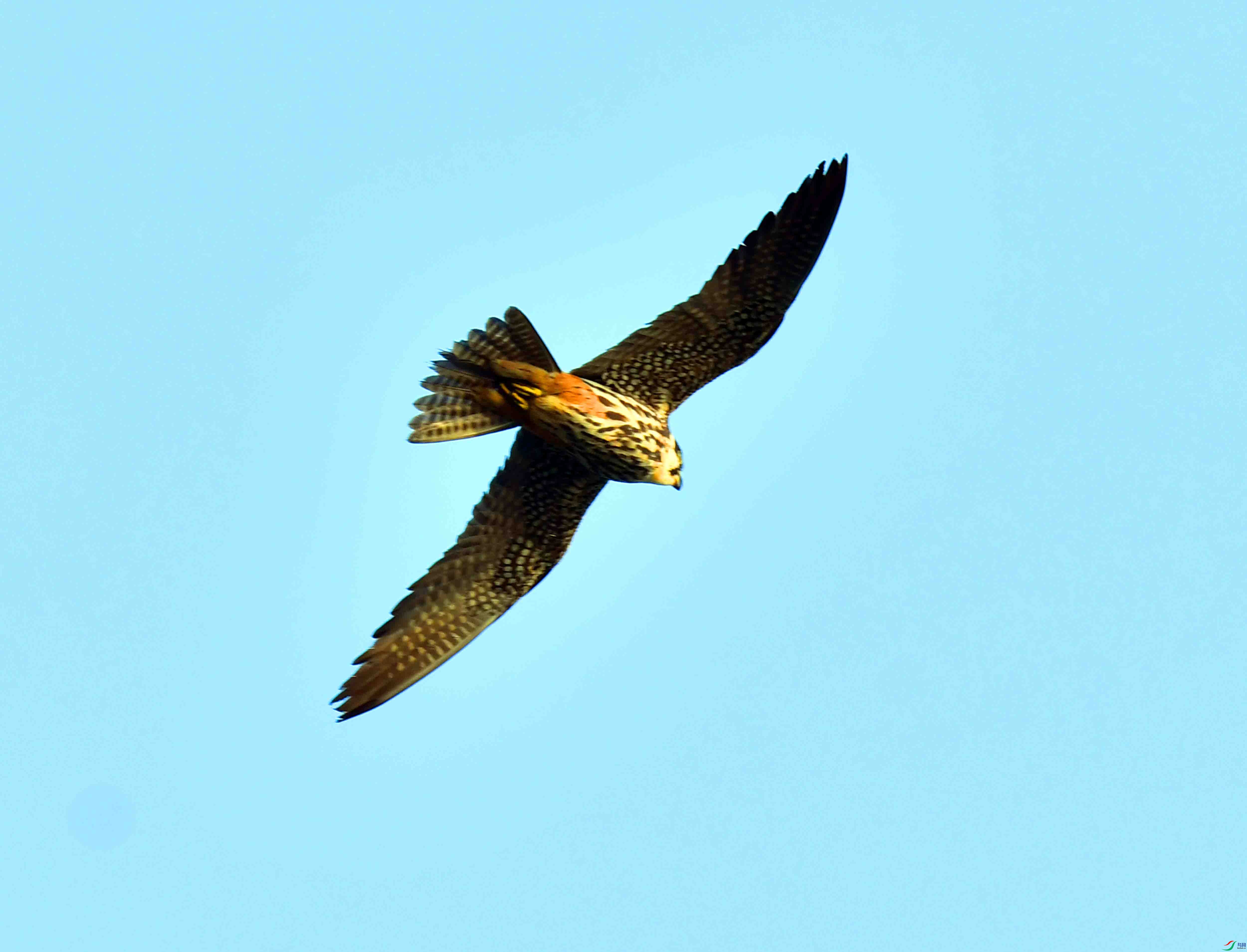 DSC_0163.JPG