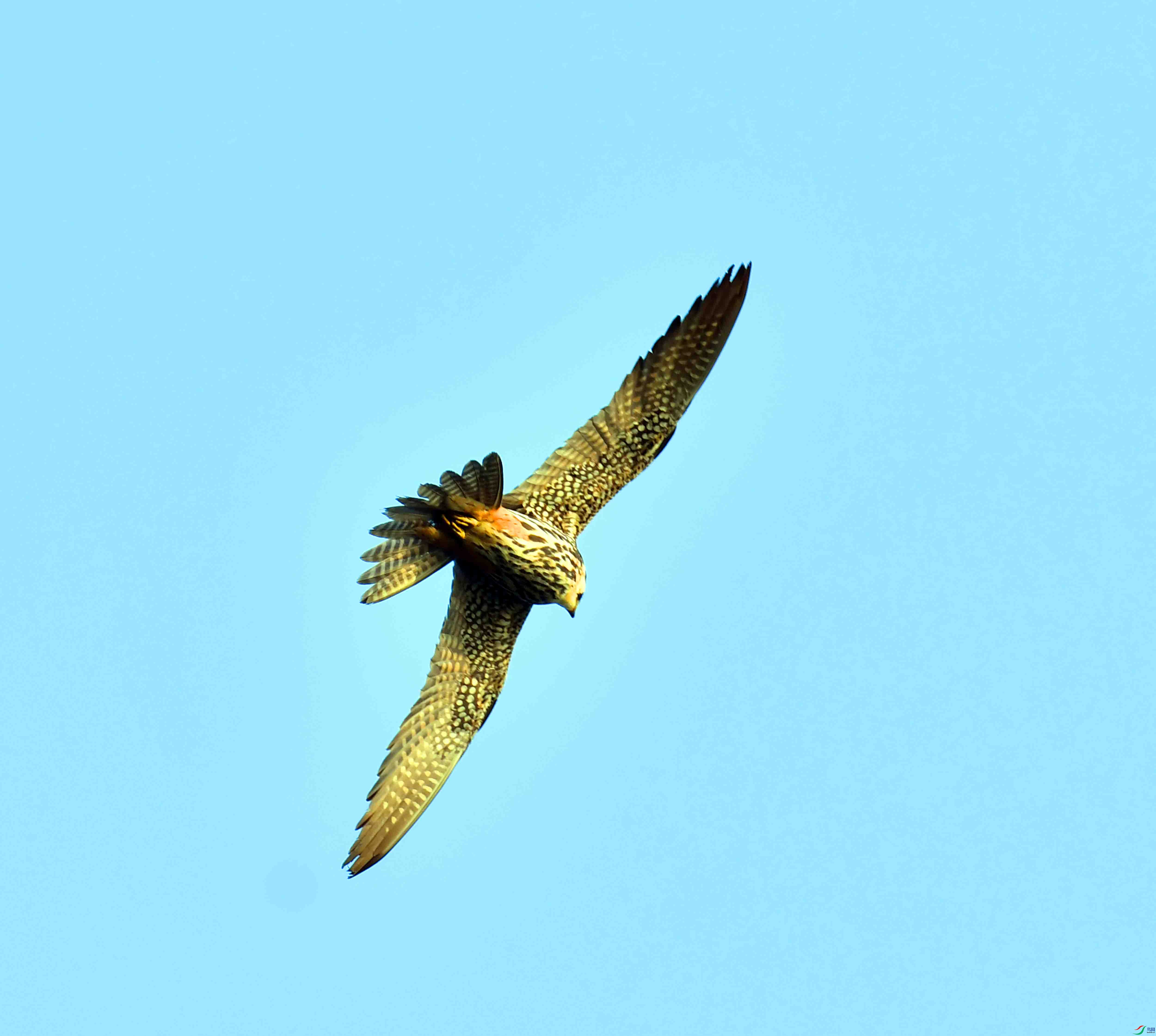 DSC_0164.JPG