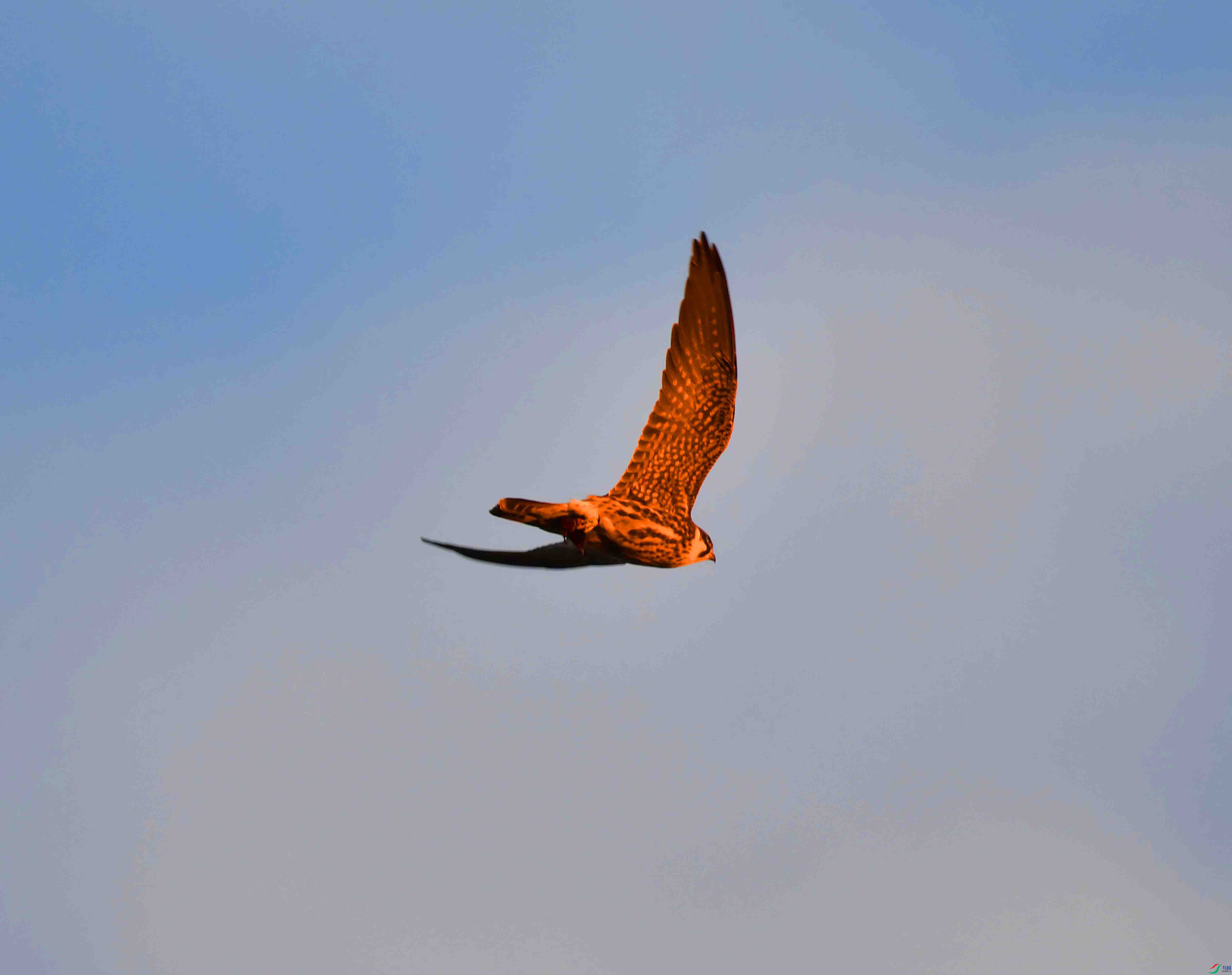 DSC_3324.JPG