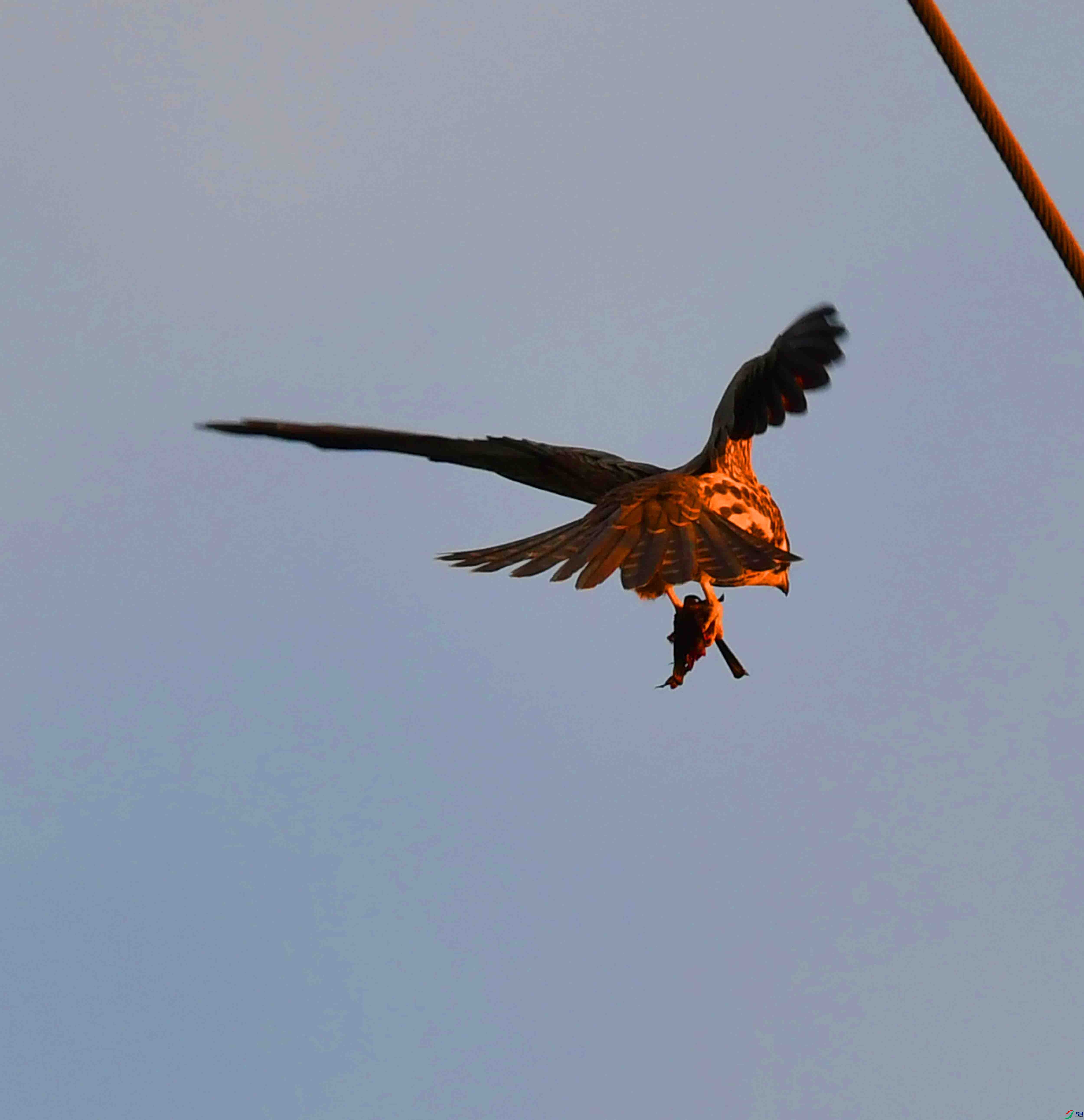 DSC_3316.JPG