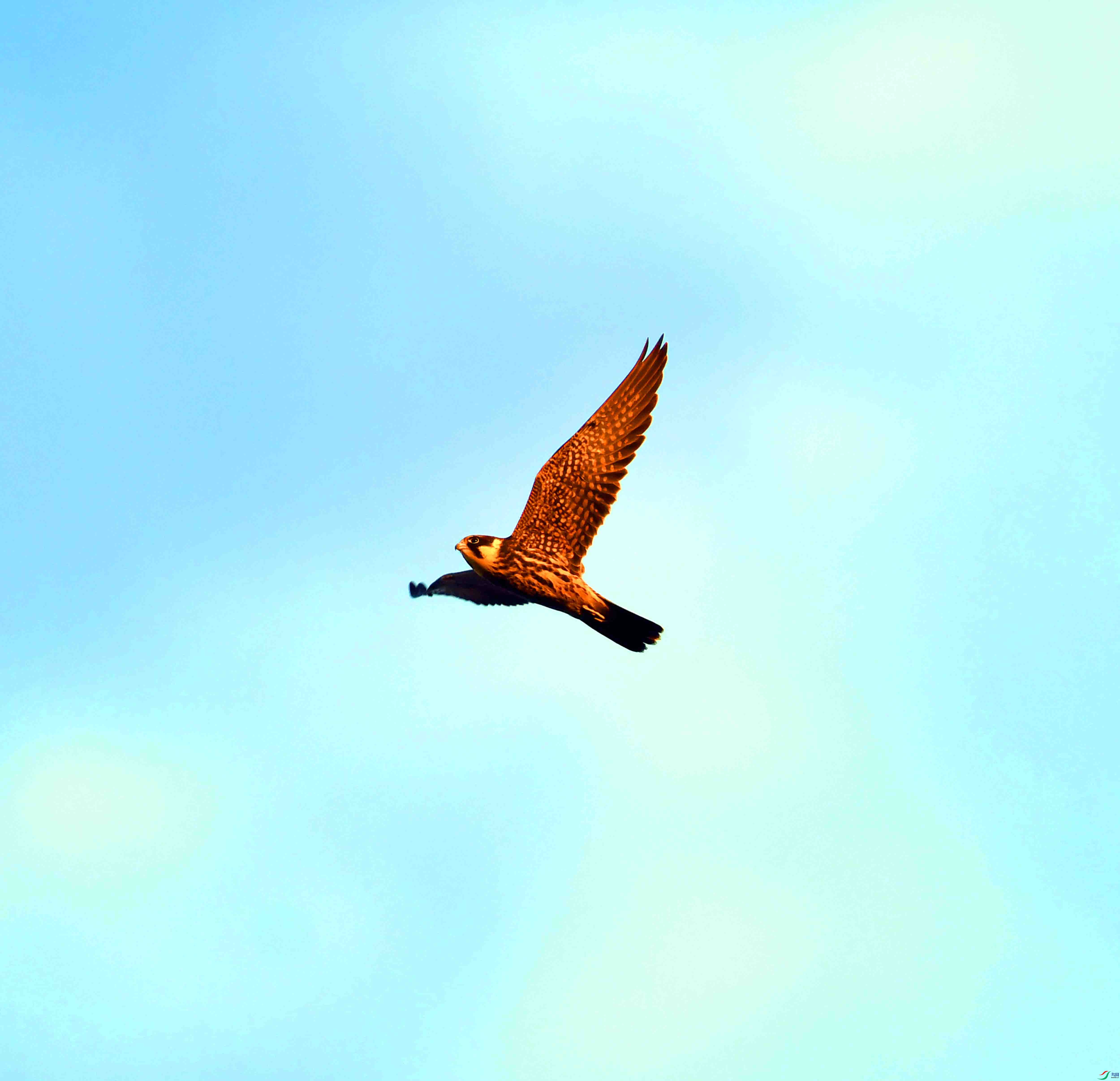 DSC_3348.JPG