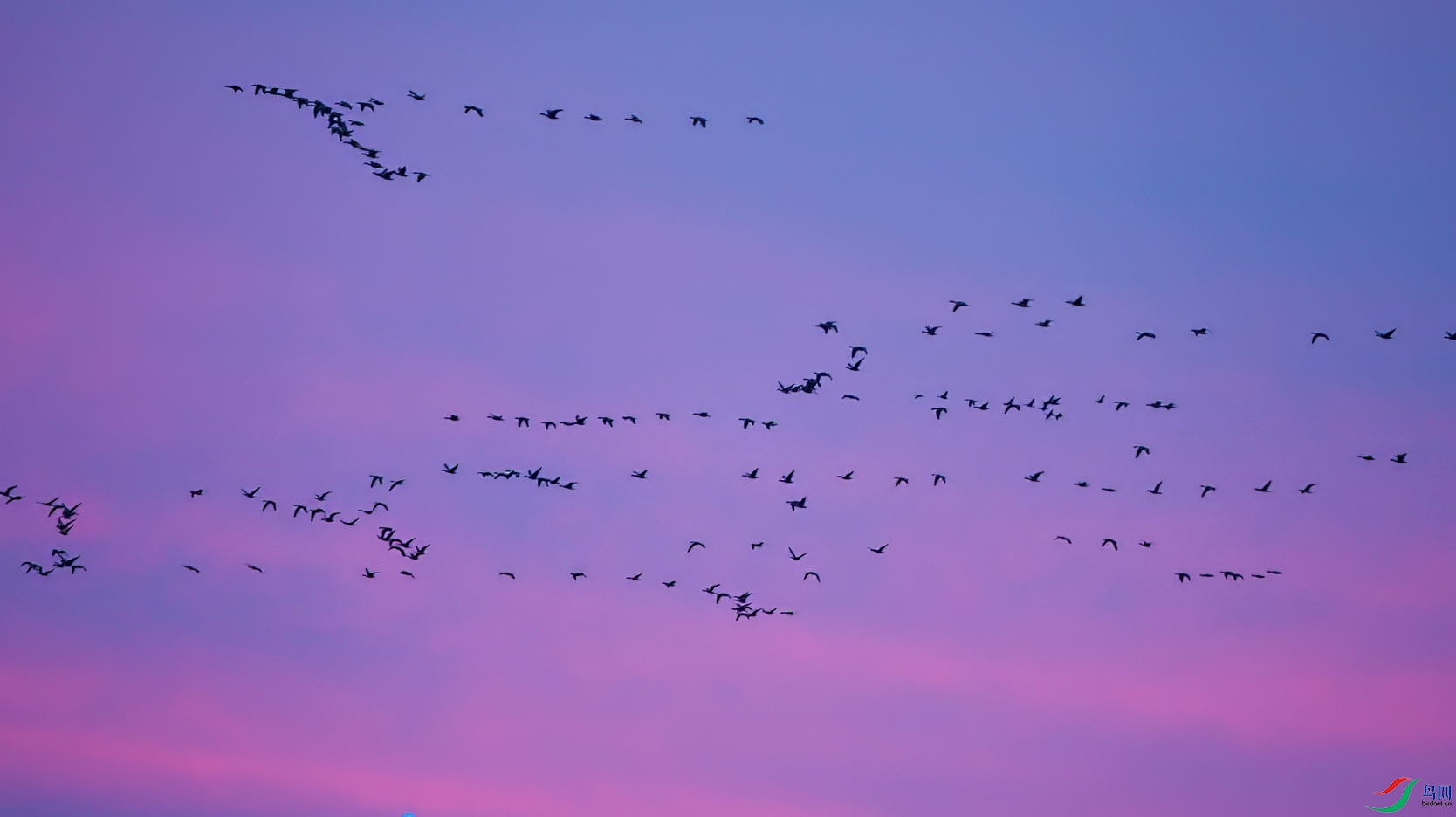 ΢��ͼƬ_20241204215903 ����.jpg