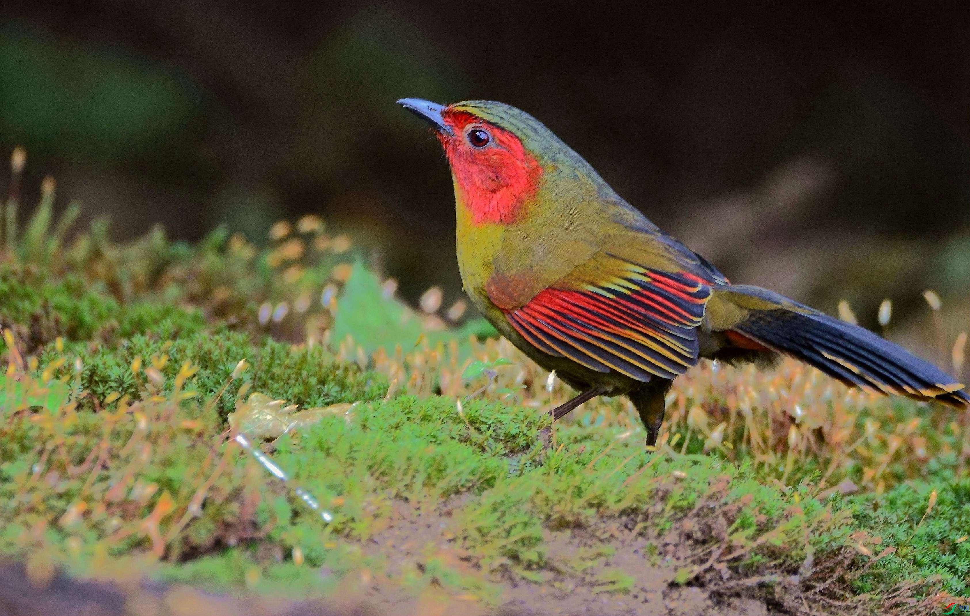 DSC_3967.JPG