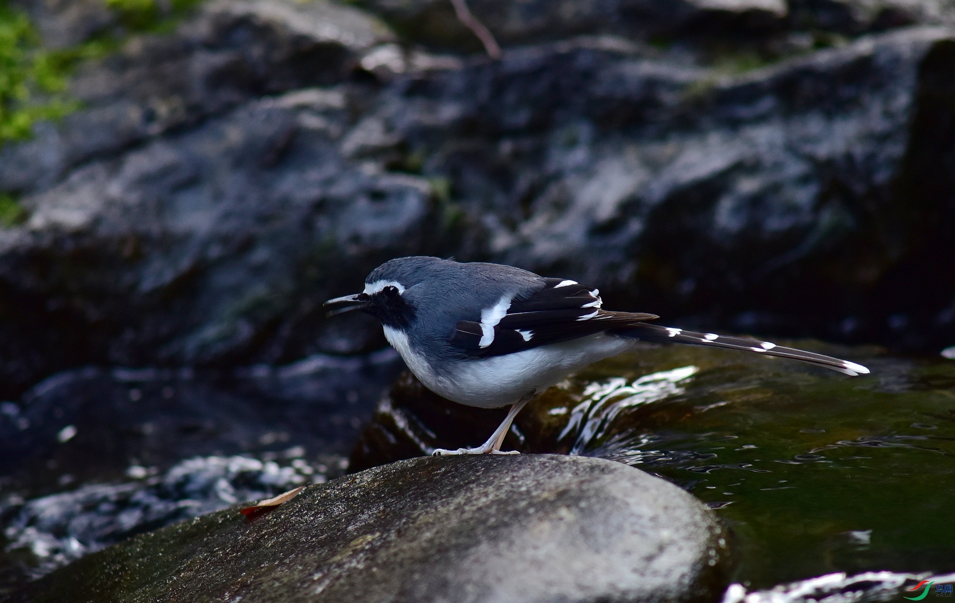 D8I_9851.jpg