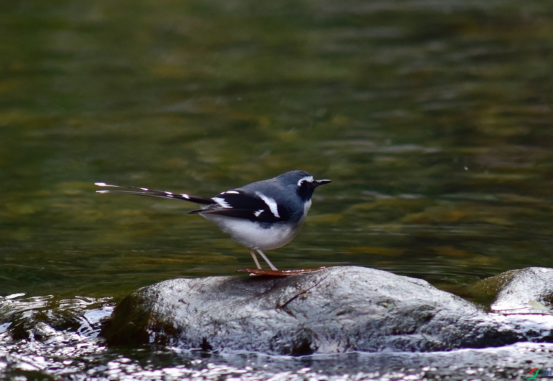 D8I_9790.jpg