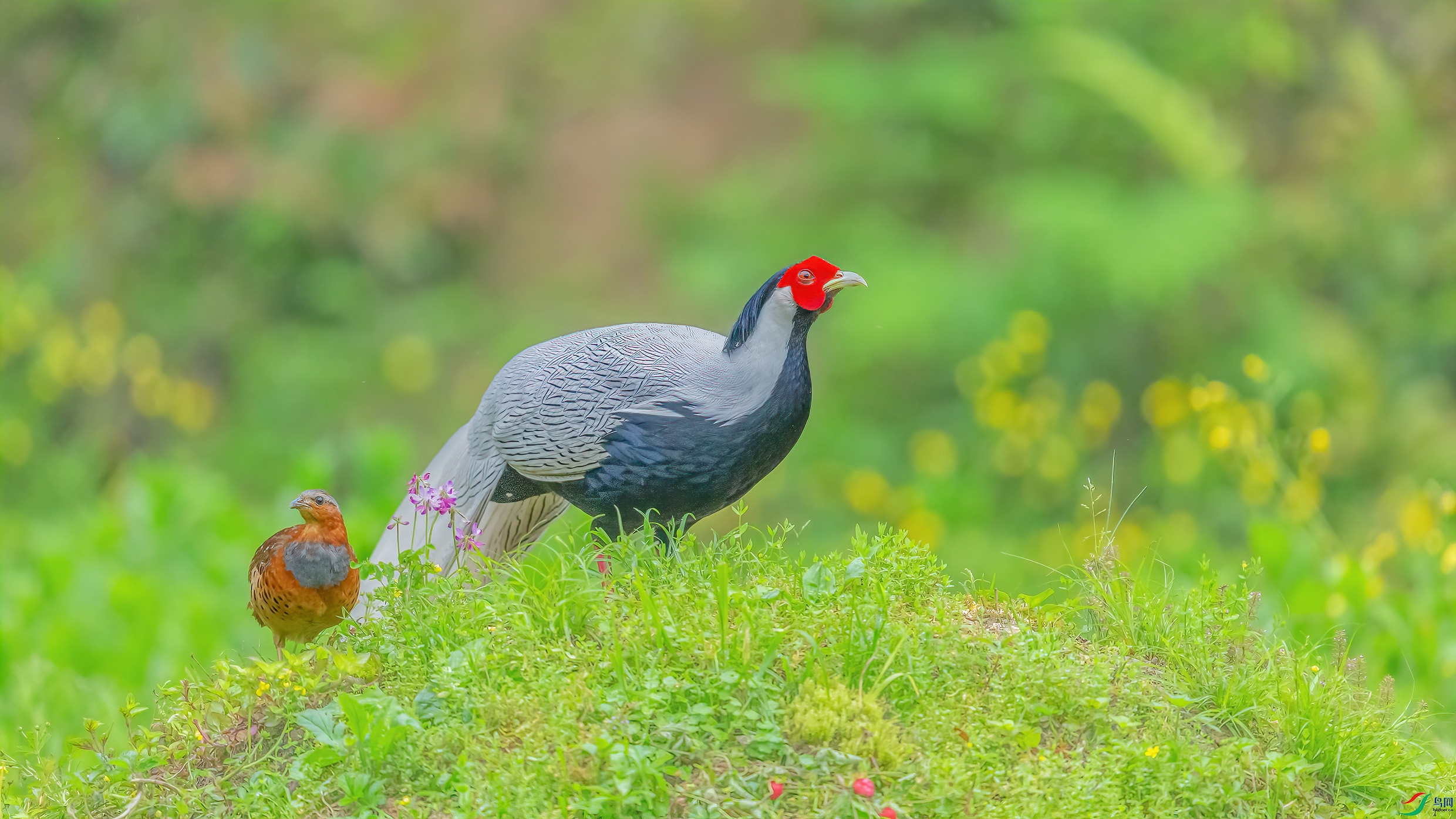 _09R1557 ����.jpg