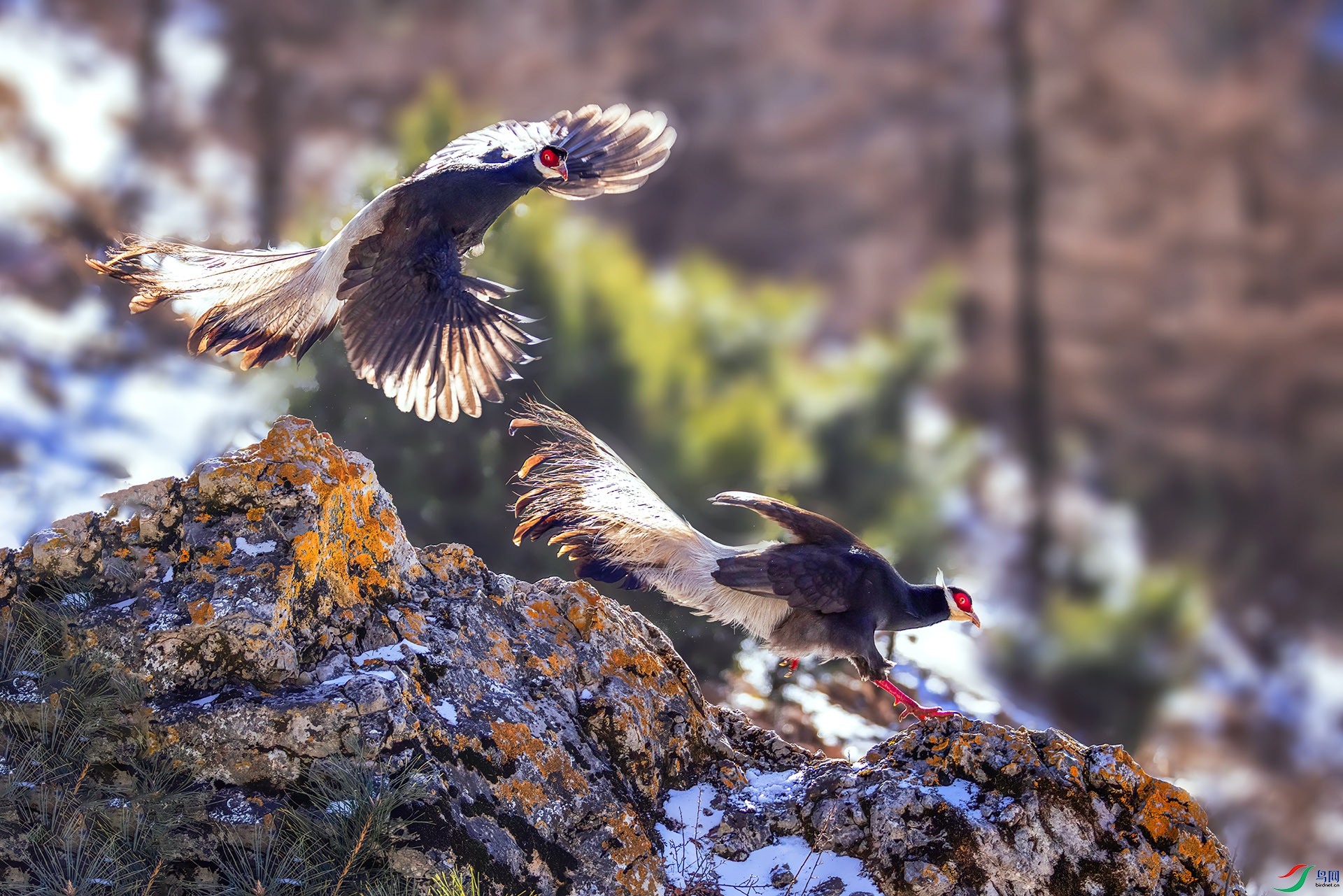 _07A2169 ����-Sha----2 .jpg