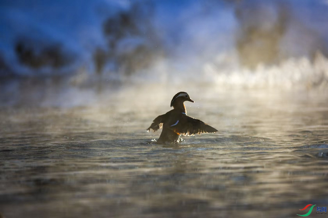 ԧ���峿��