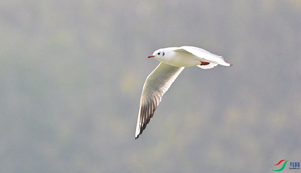 DSC_3981.JPG