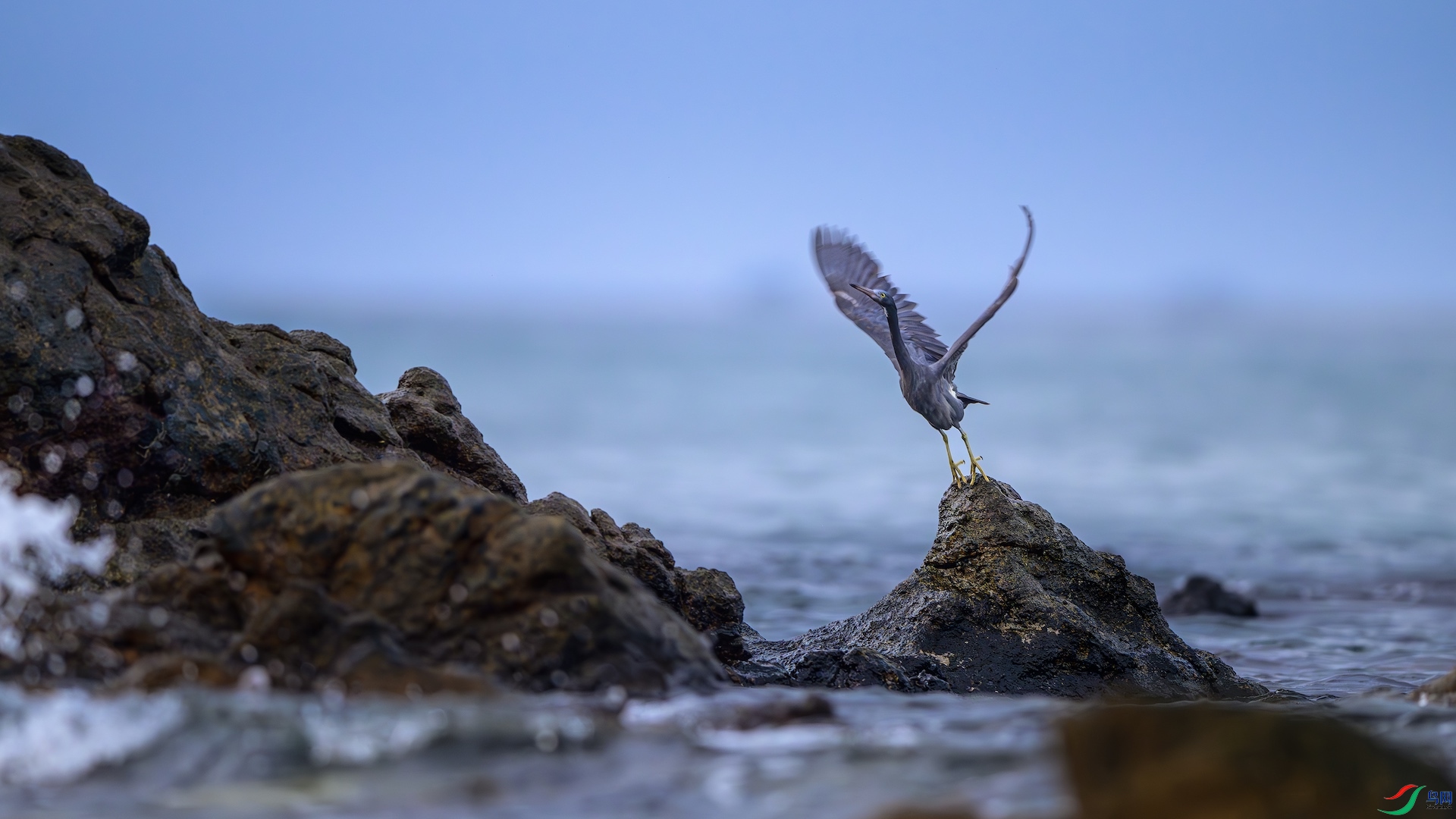 1_XXL5130-����ǿ-NR ����.jpeg