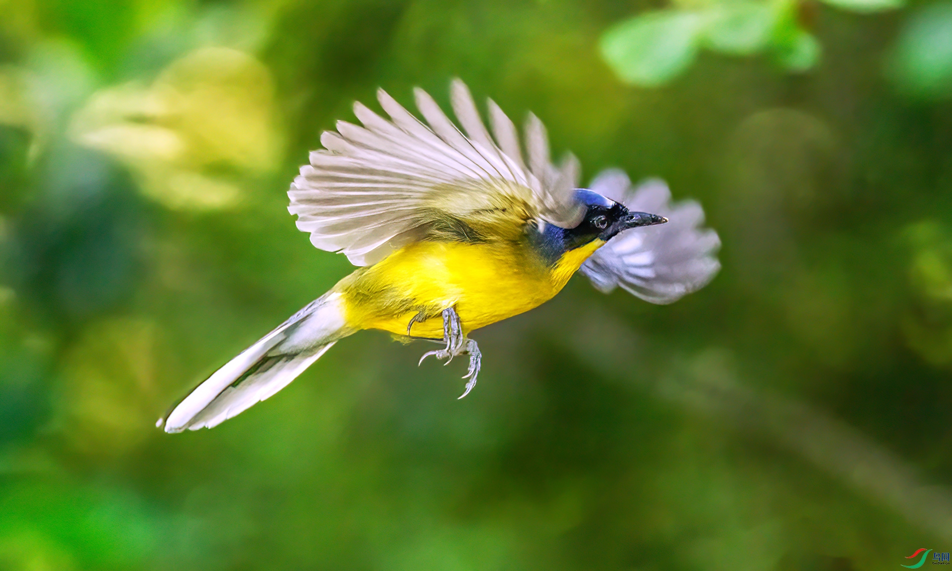 407A2396 ����-Sha---1+.jpg