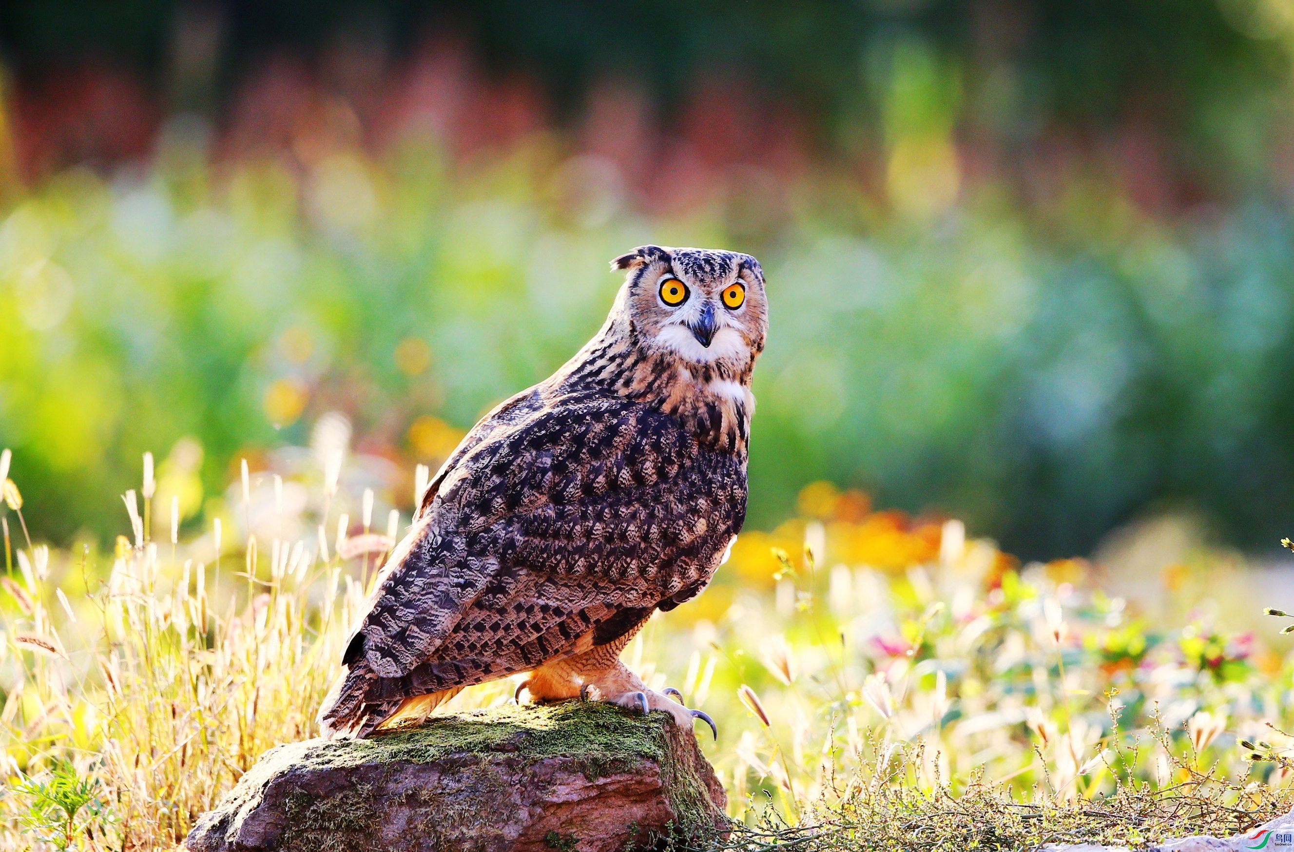 ���^  (98).JPG