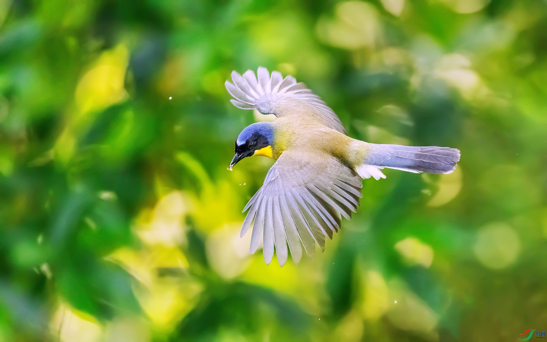 407A2522 ����-Sh---1 .jpg