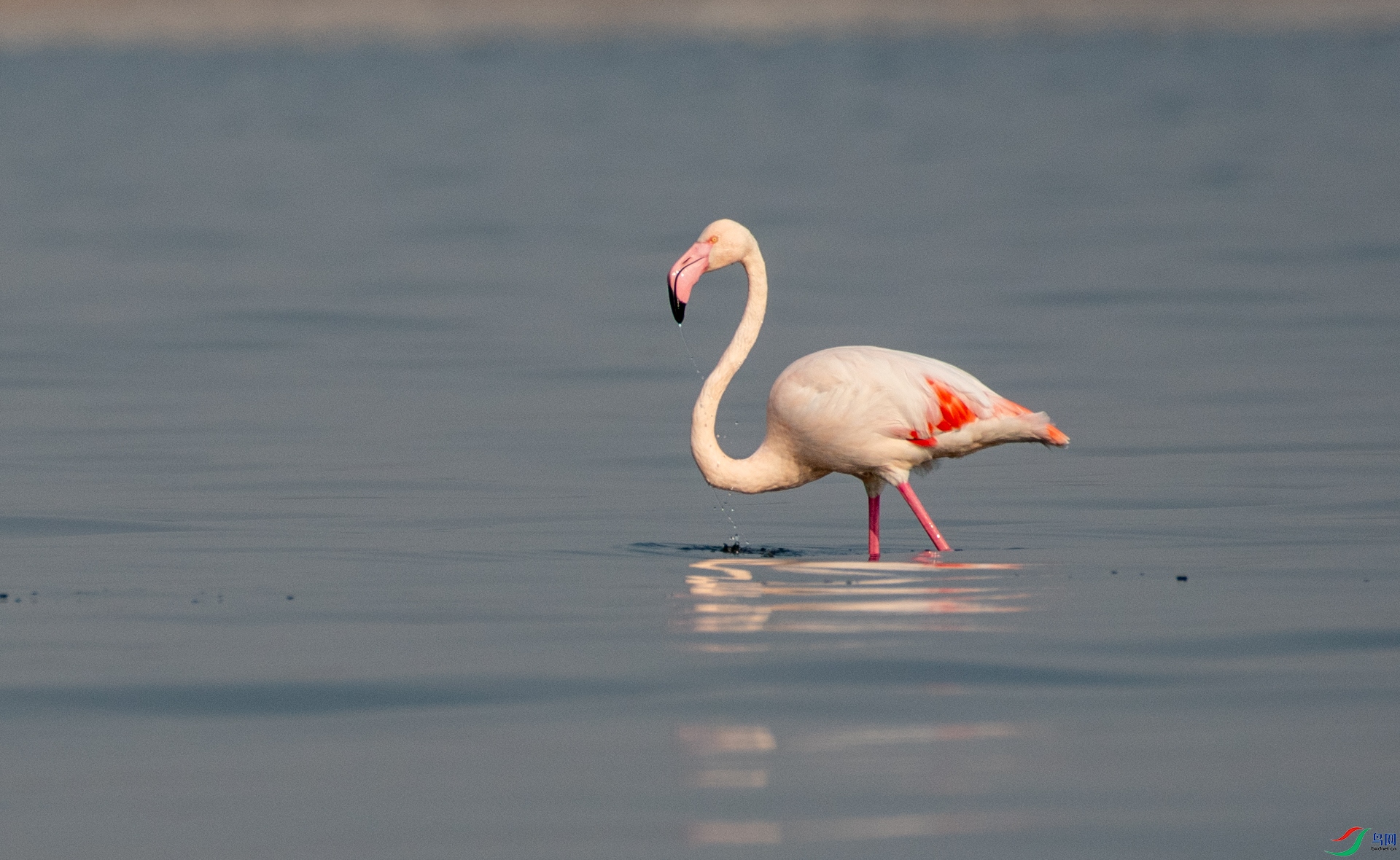 DSC_7616.jpg