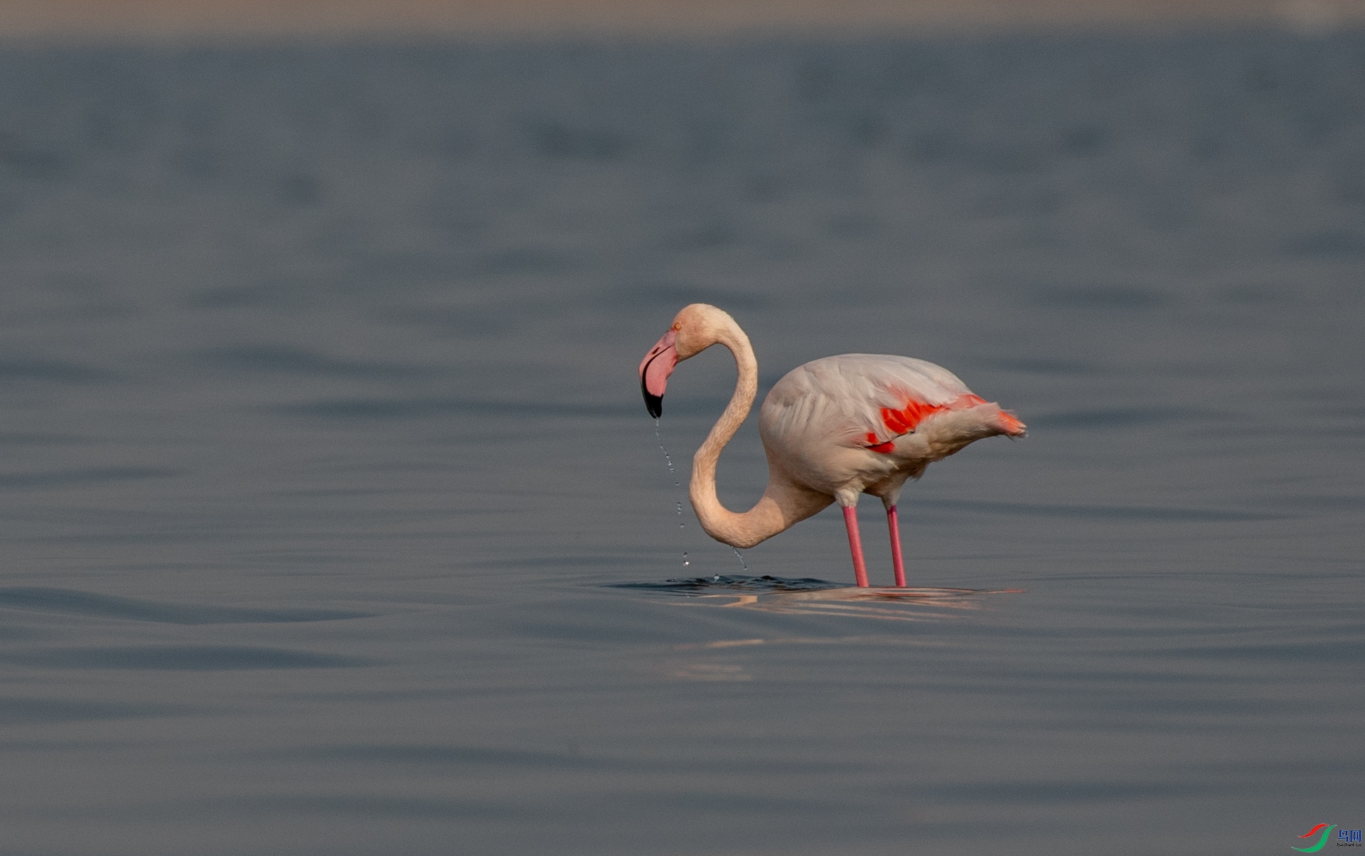 DSC_7655.jpg