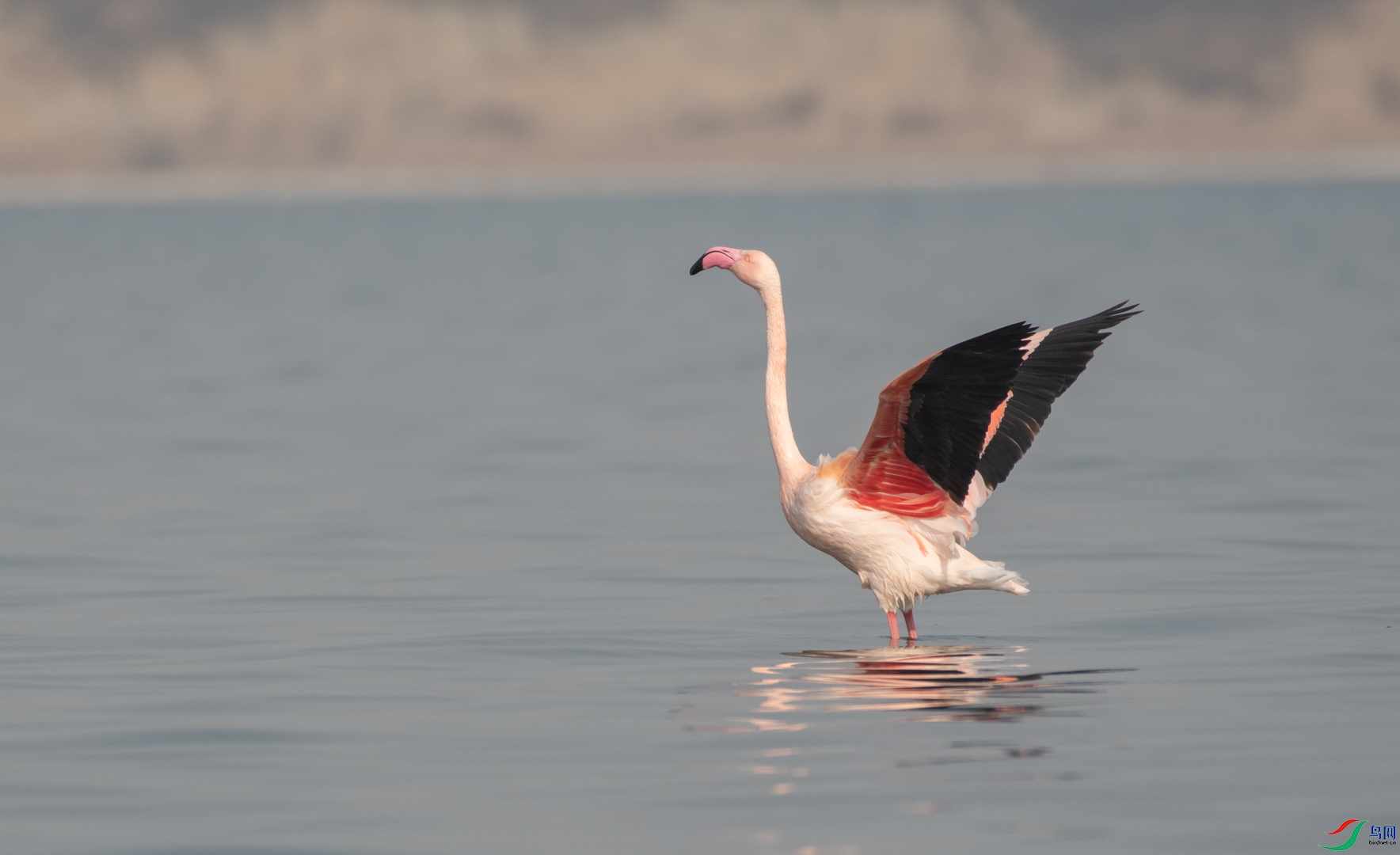 DSC_7968.jpg