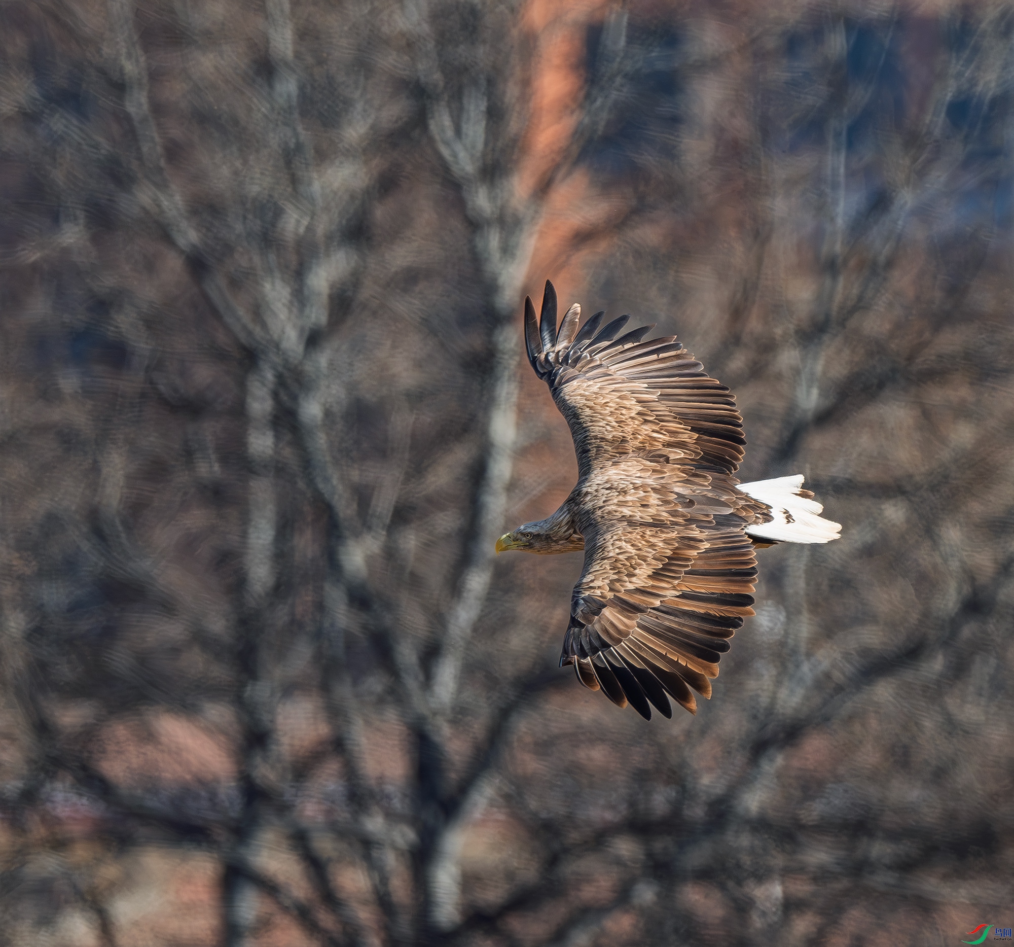 DSC_1558.jpg