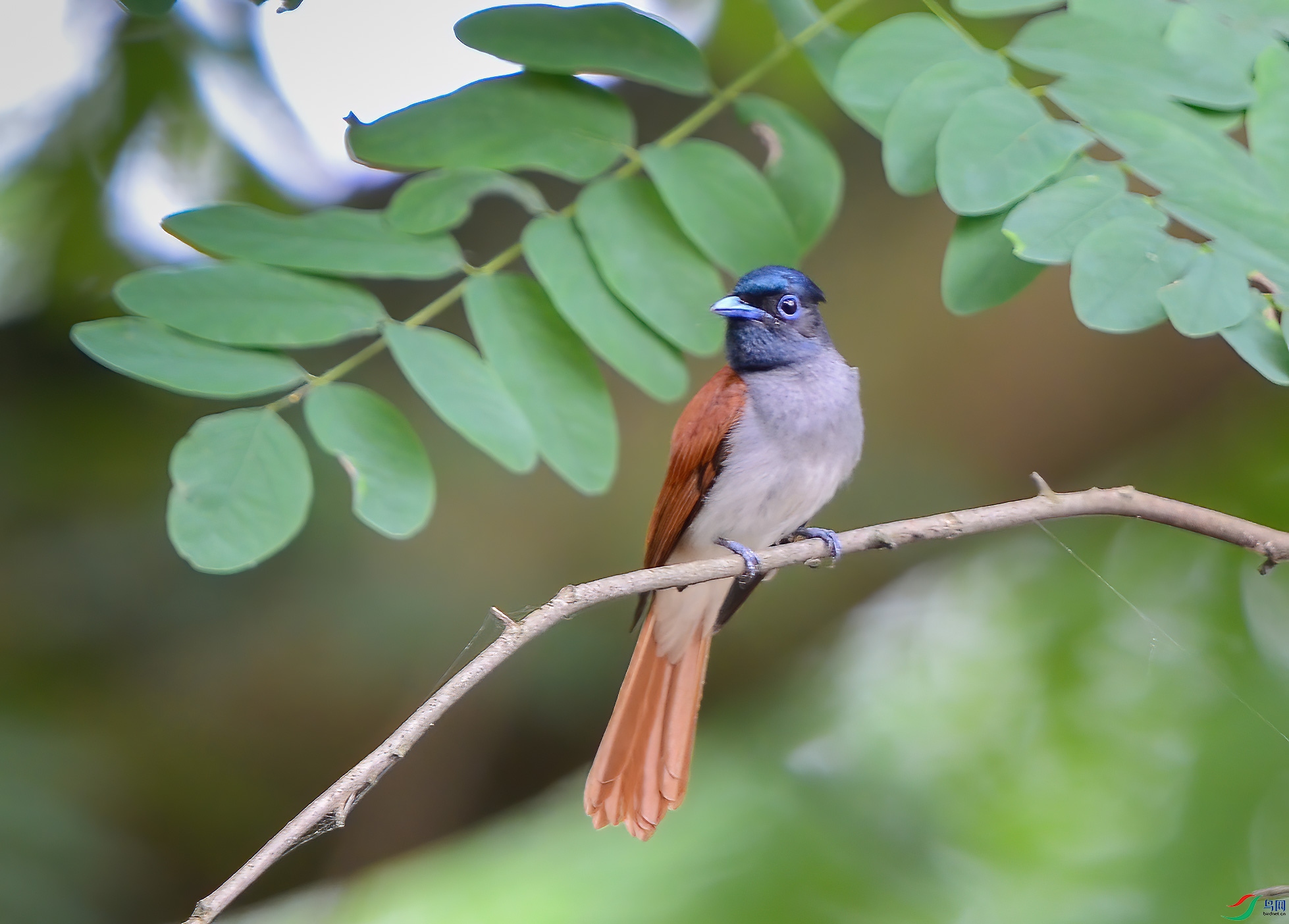 DSC_8057.jpg