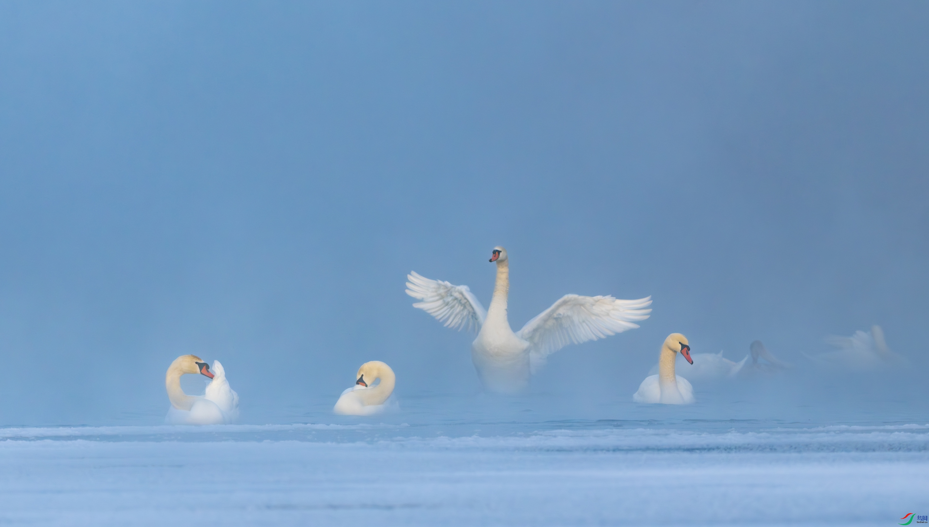 DSC_1310-����ǿ-NR-11.jpg