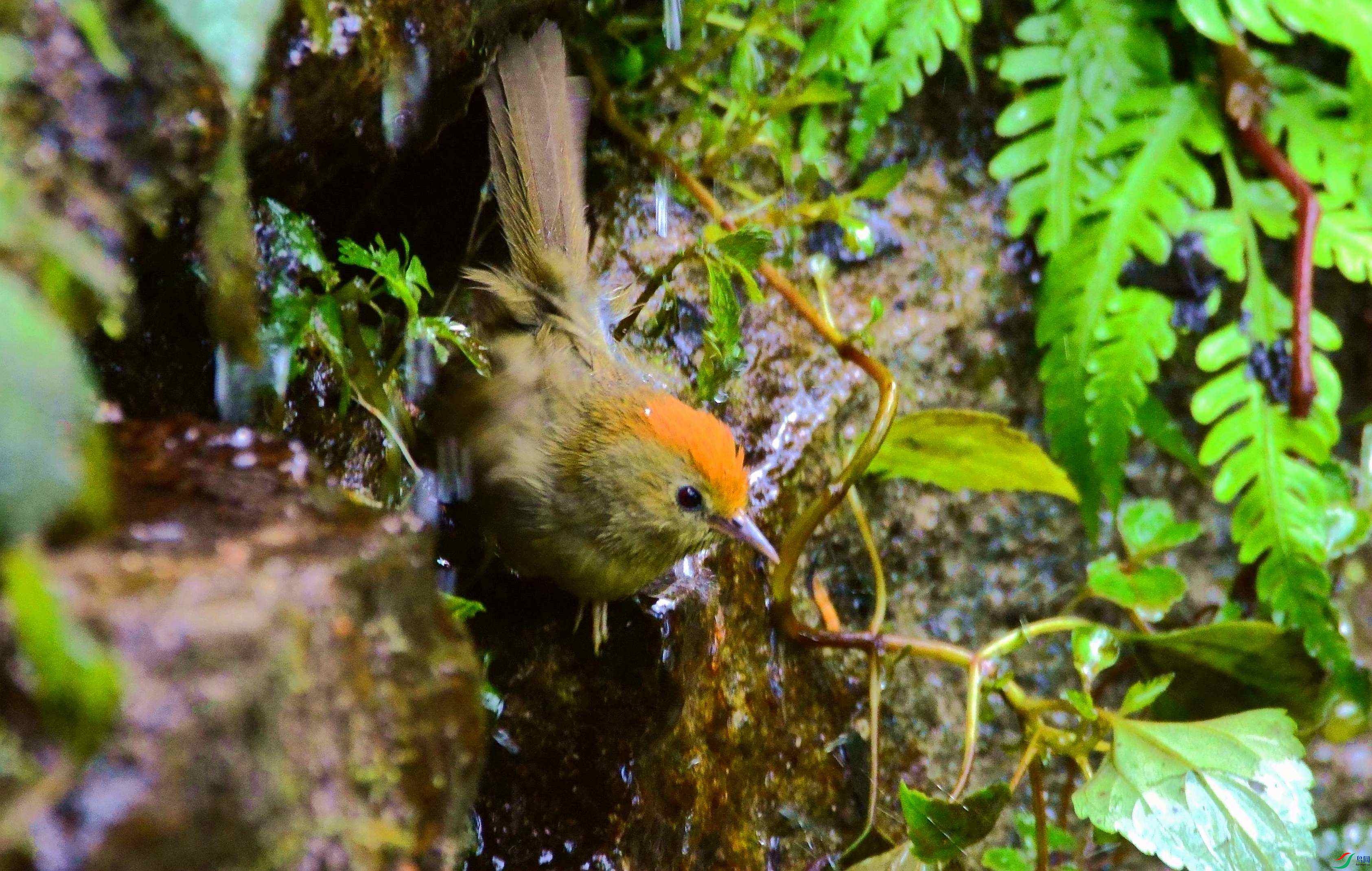 DSC_7682.JPG