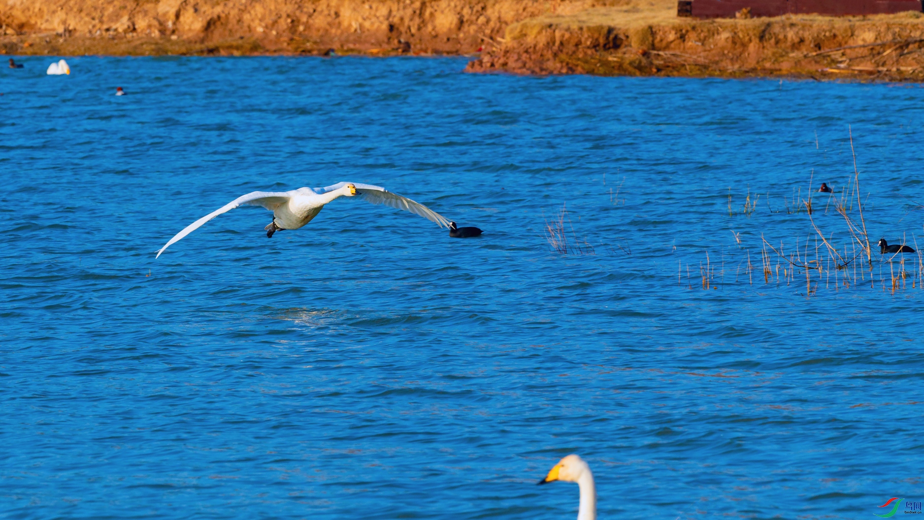 DSC_3250_DxOa.jpg
