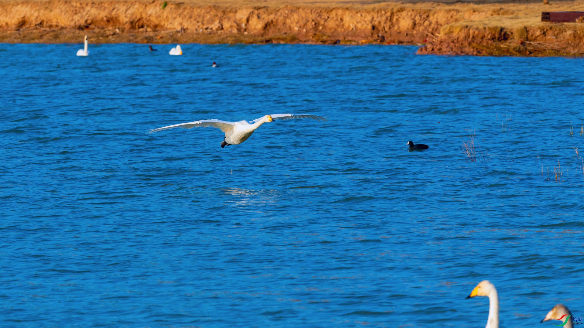 4DSC_3248_DxOa.jpg