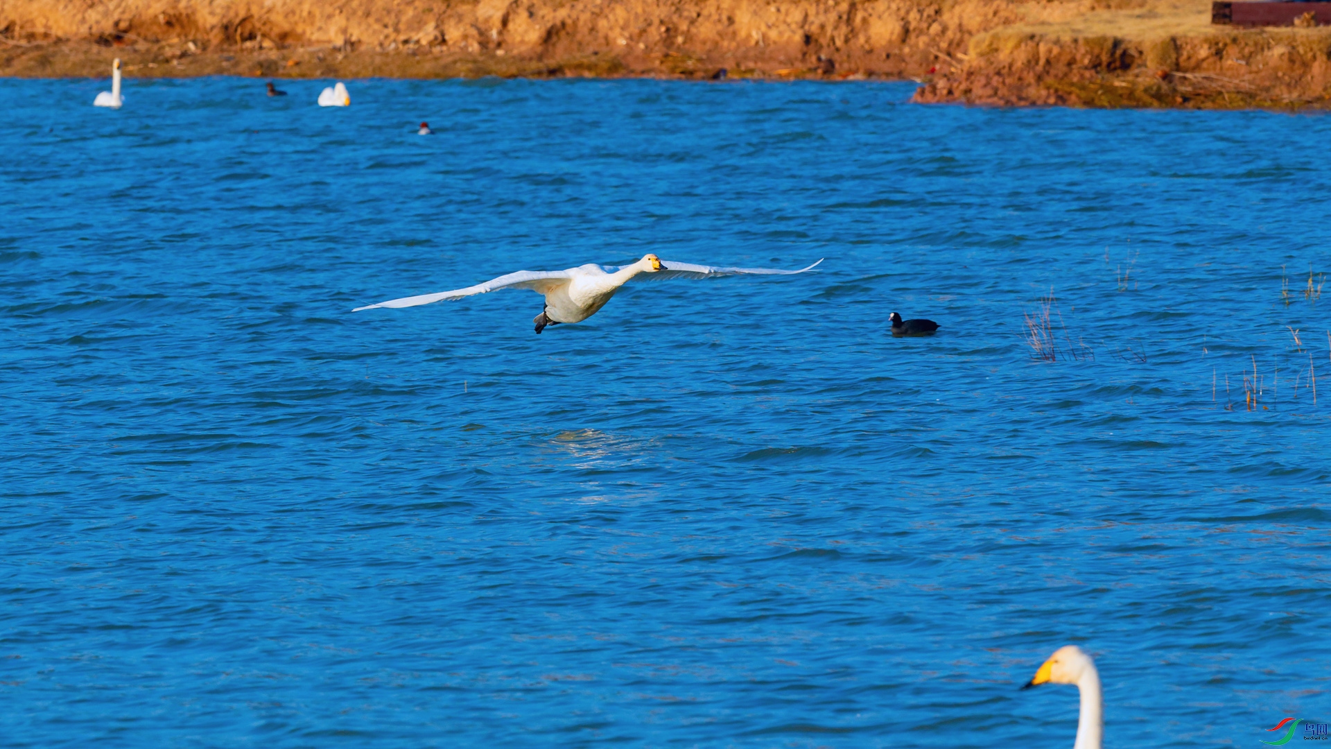 1DSC_3249_DxOa.jpg