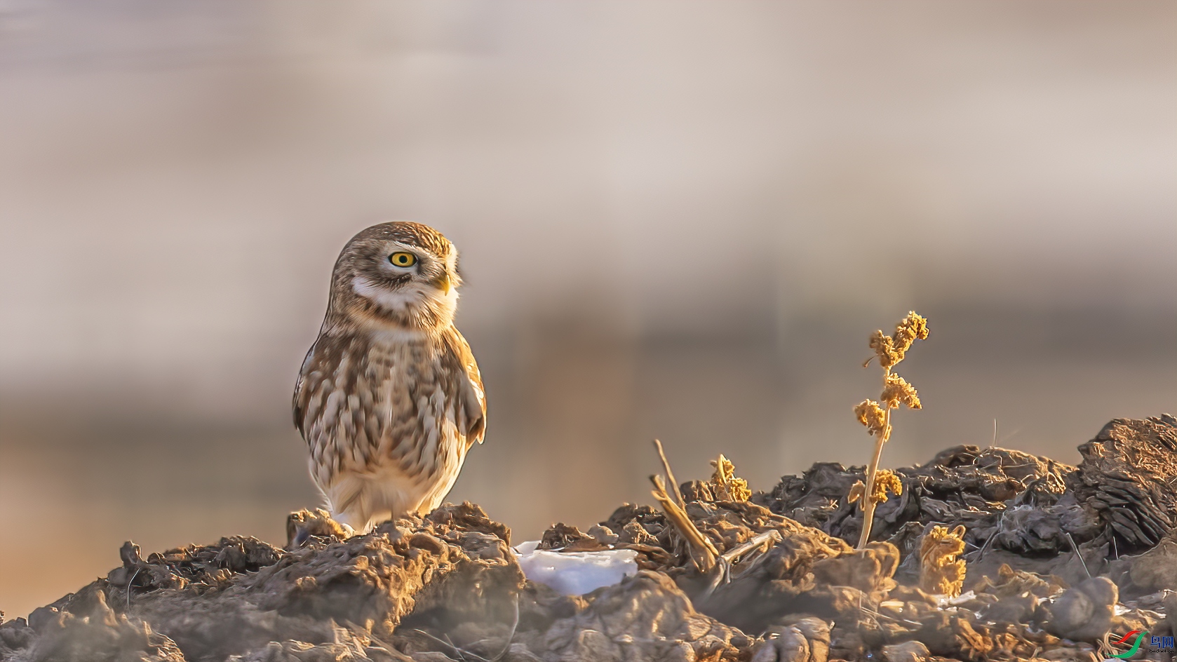 _09R6148 ����.jpg