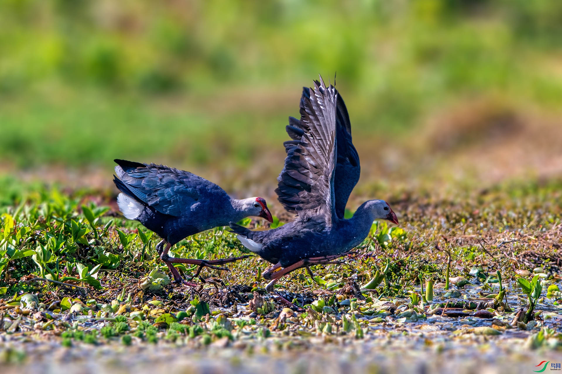 _AUU6163����(24.2.19).jpg