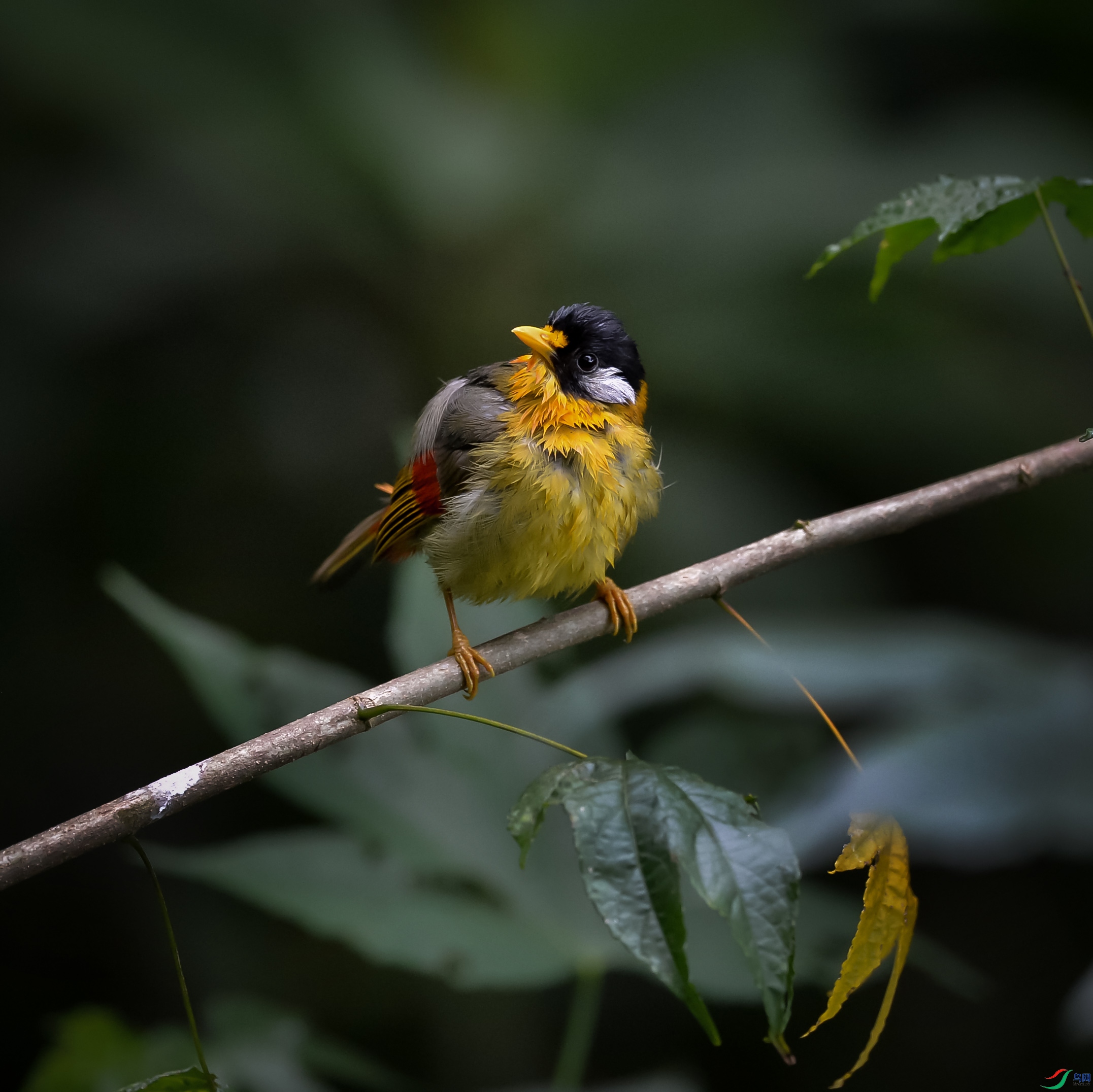 DSC_0437.jpg